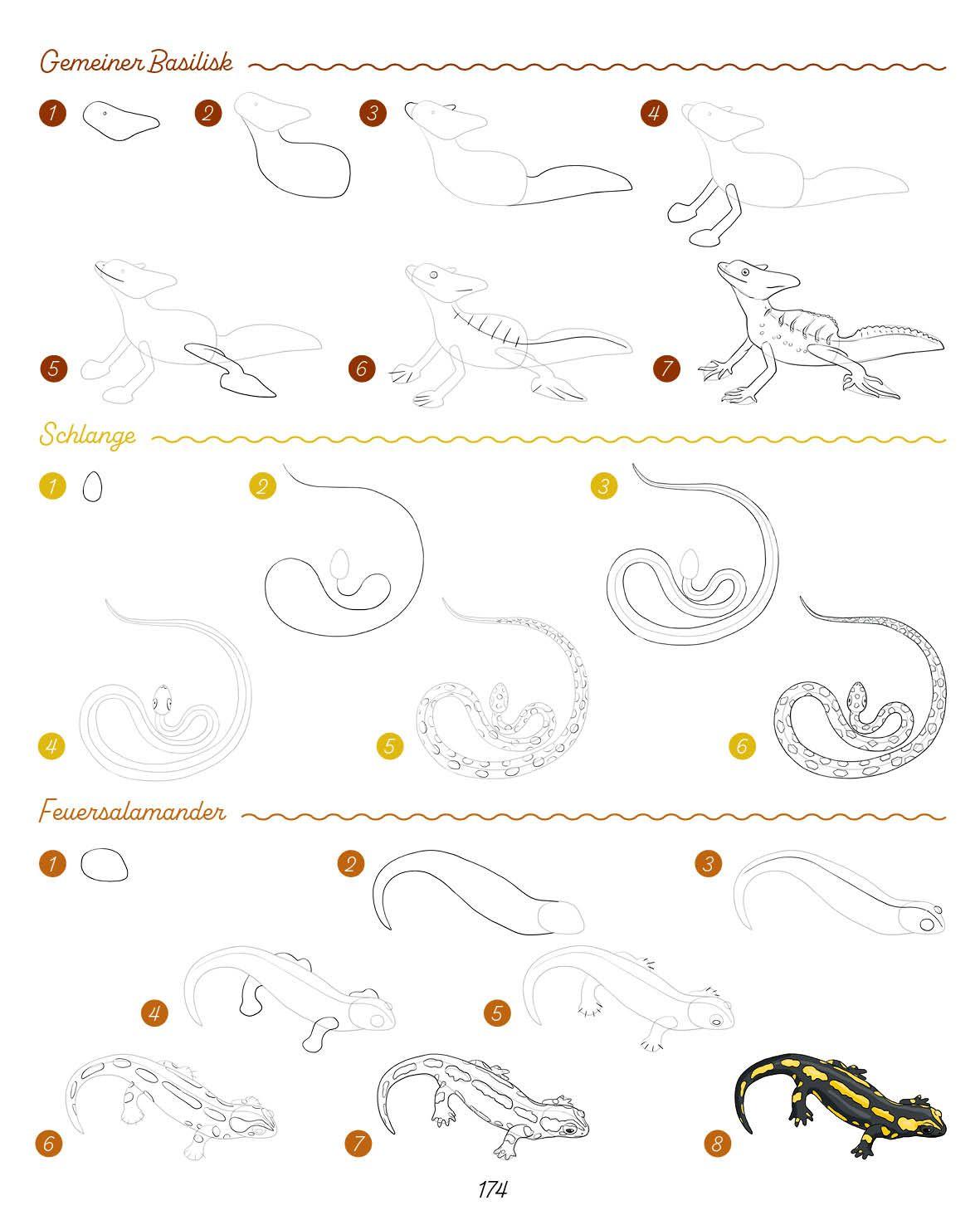 Beispielinhalt (Bild) Die ultimative Motiv-Bibliothek - 1000 x zeichnen