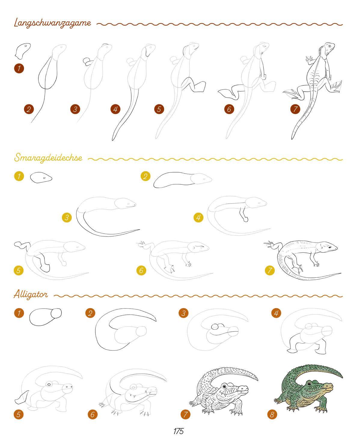 Beispielinhalt (Bild) Die ultimative Motiv-Bibliothek - 1000 x zeichnen