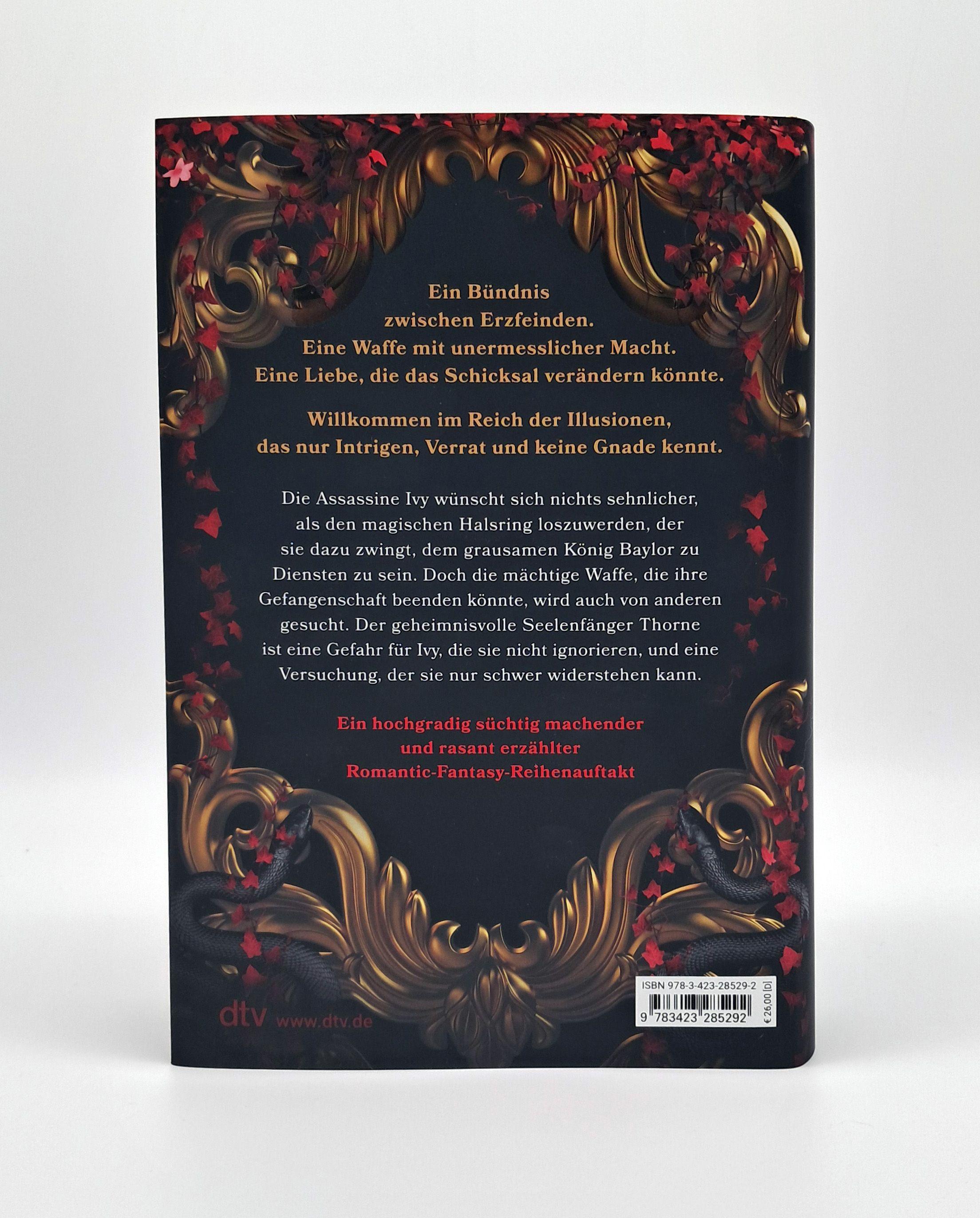 Beispielinhalt (Bild) Heir of Illusion