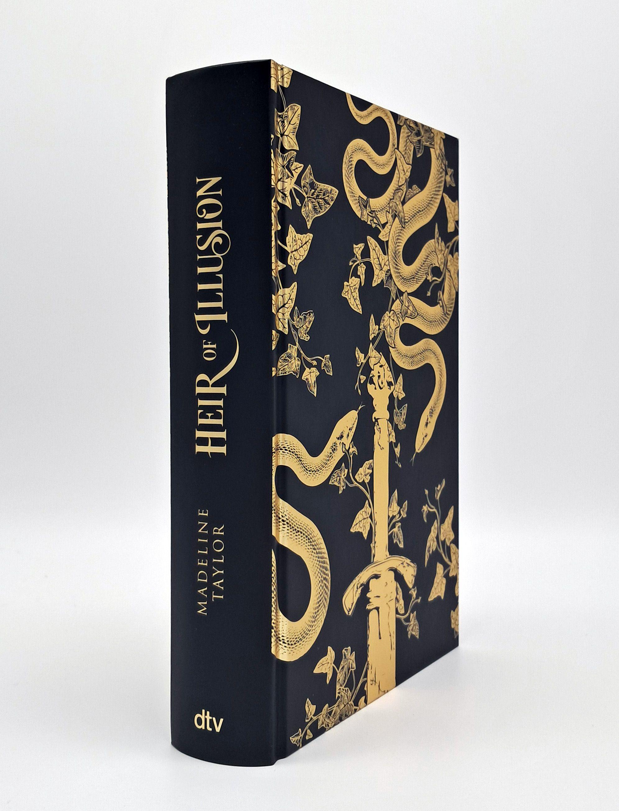 Beispielinhalt (Bild) Heir of Illusion