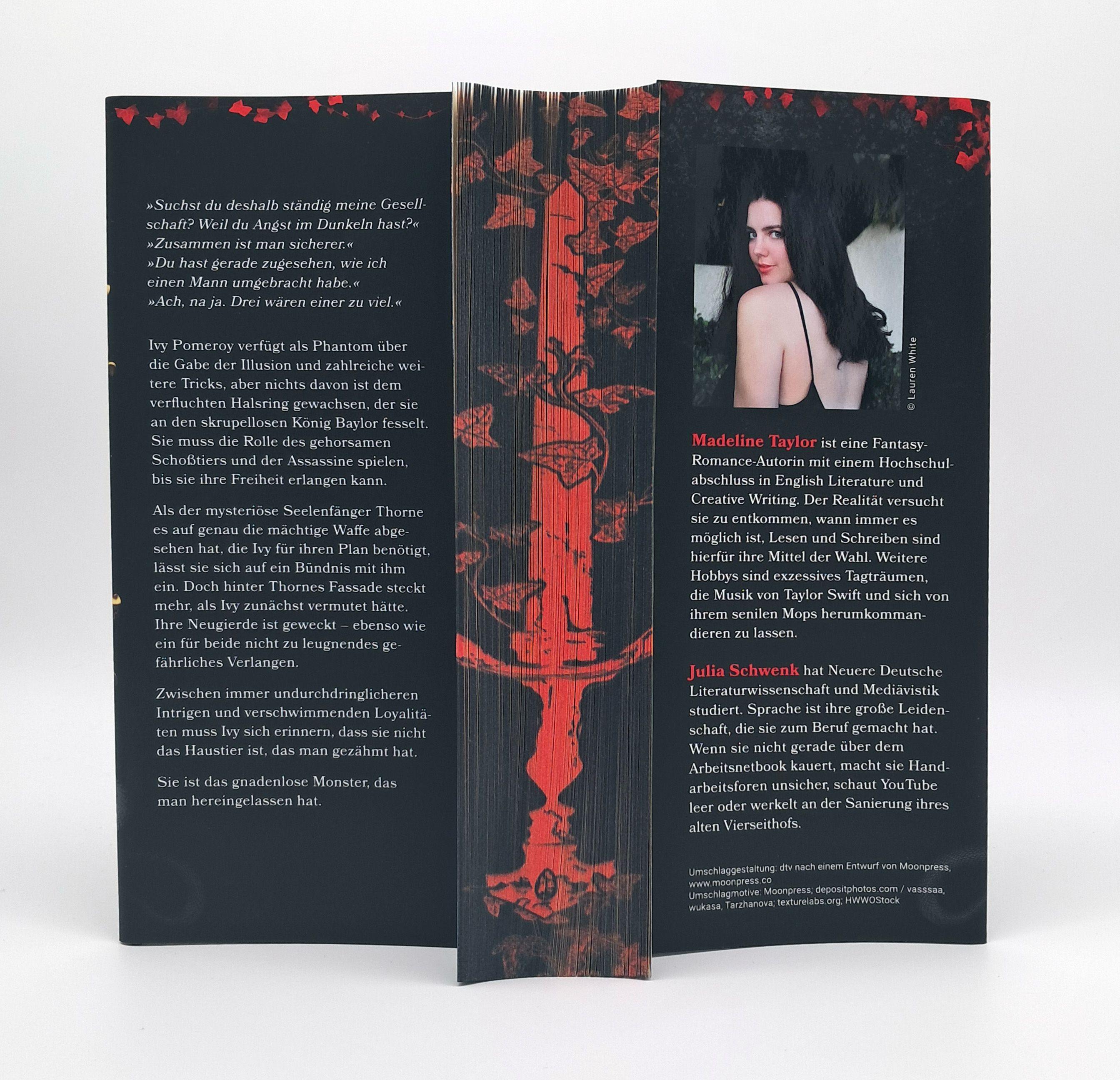 Beispielinhalt (Bild) Heir of Illusion