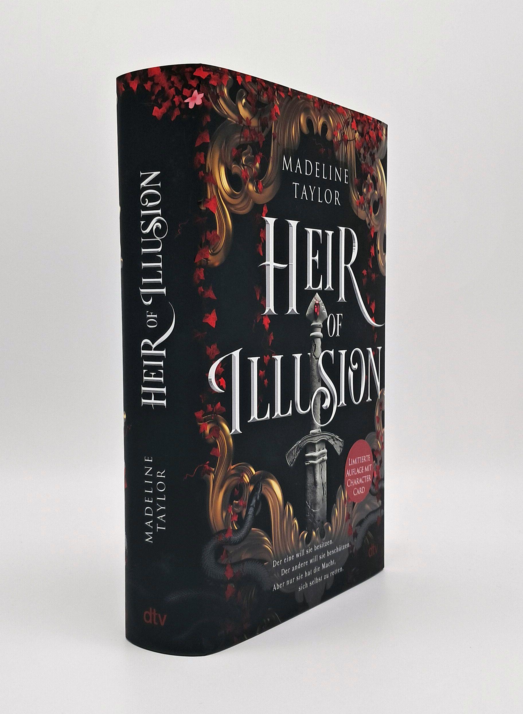 Beispielinhalt (Bild) Heir of Illusion