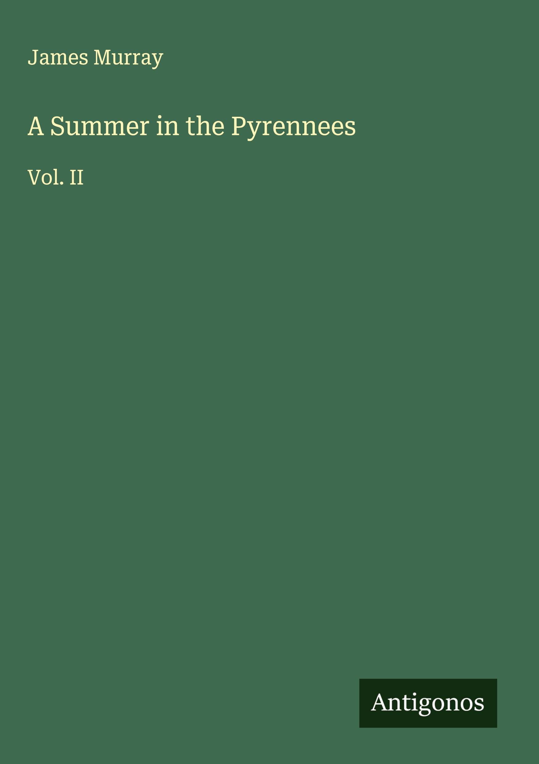 Vorderes Coverbild A Summer in the Pyrennees