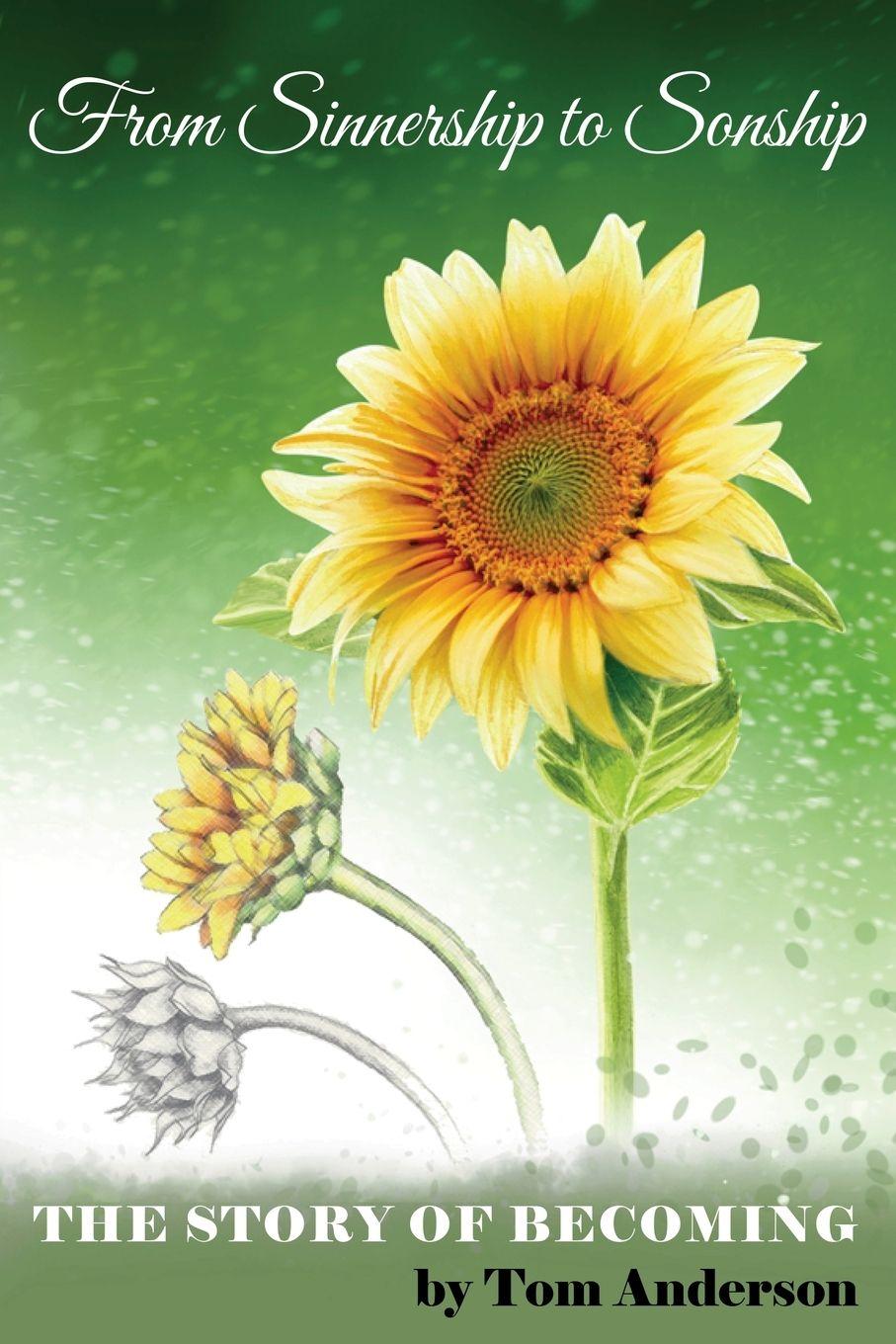 Vorderes Coverbild From Sinnership to Sonship