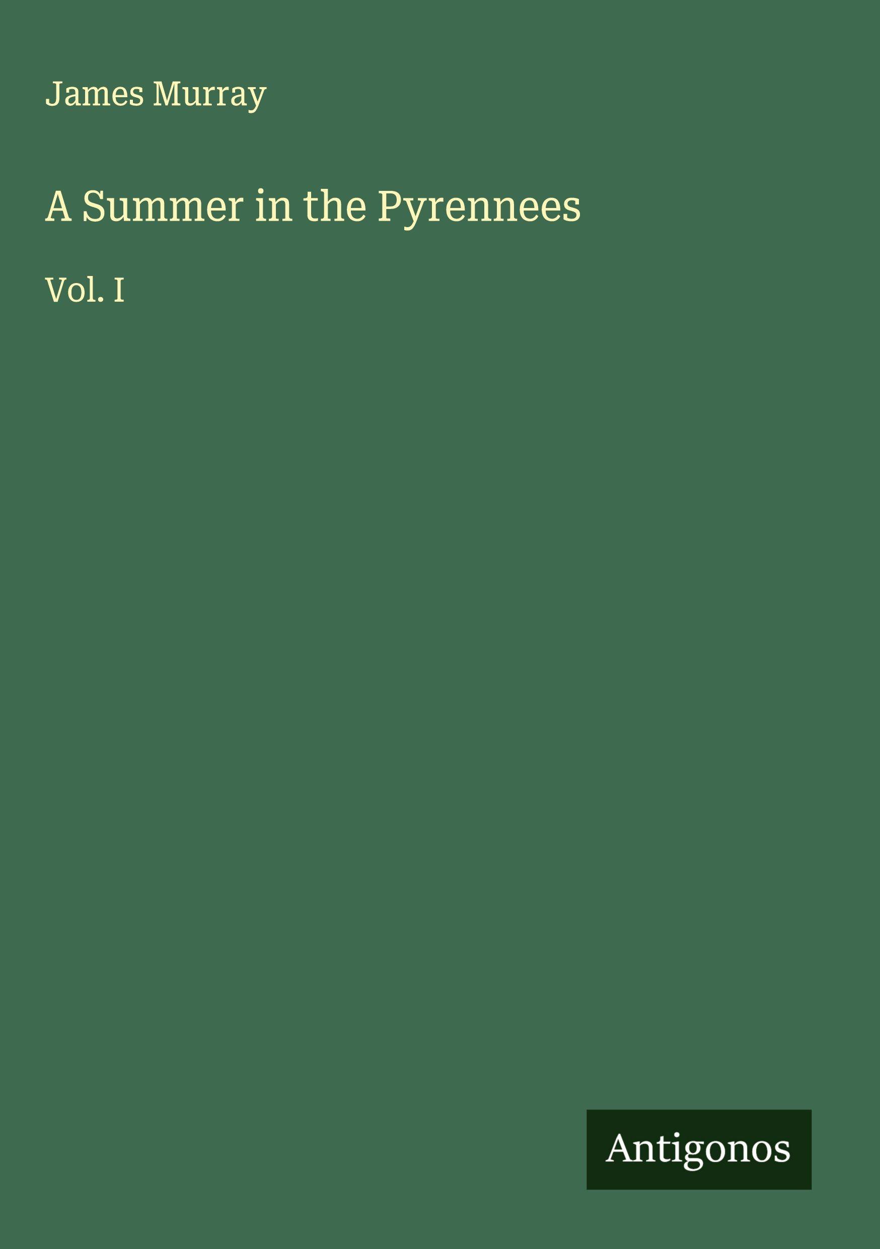 Vorderes Coverbild A Summer in the Pyrennees