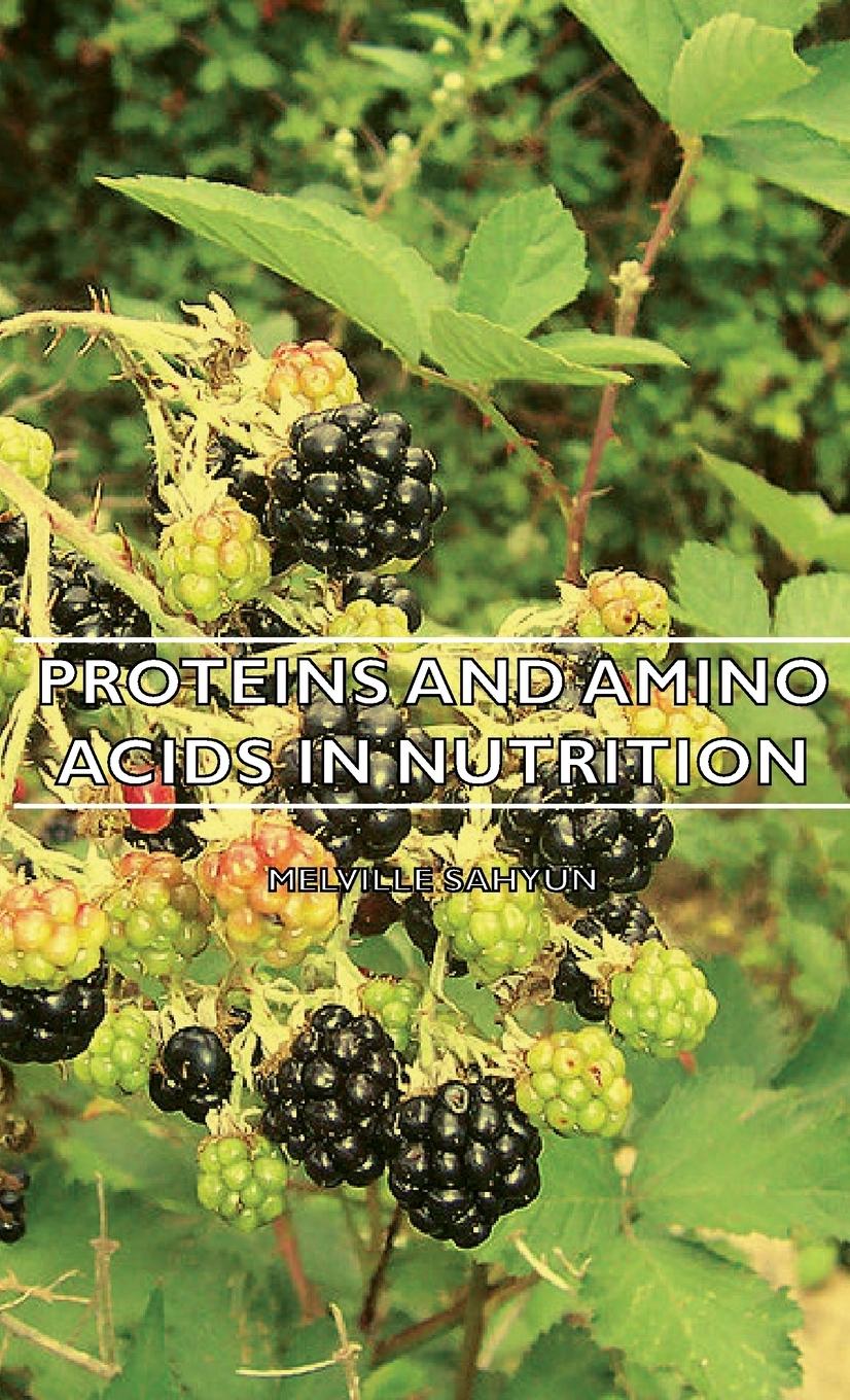 Vorderes Coverbild Proteins and Amino Acids in Nutrition