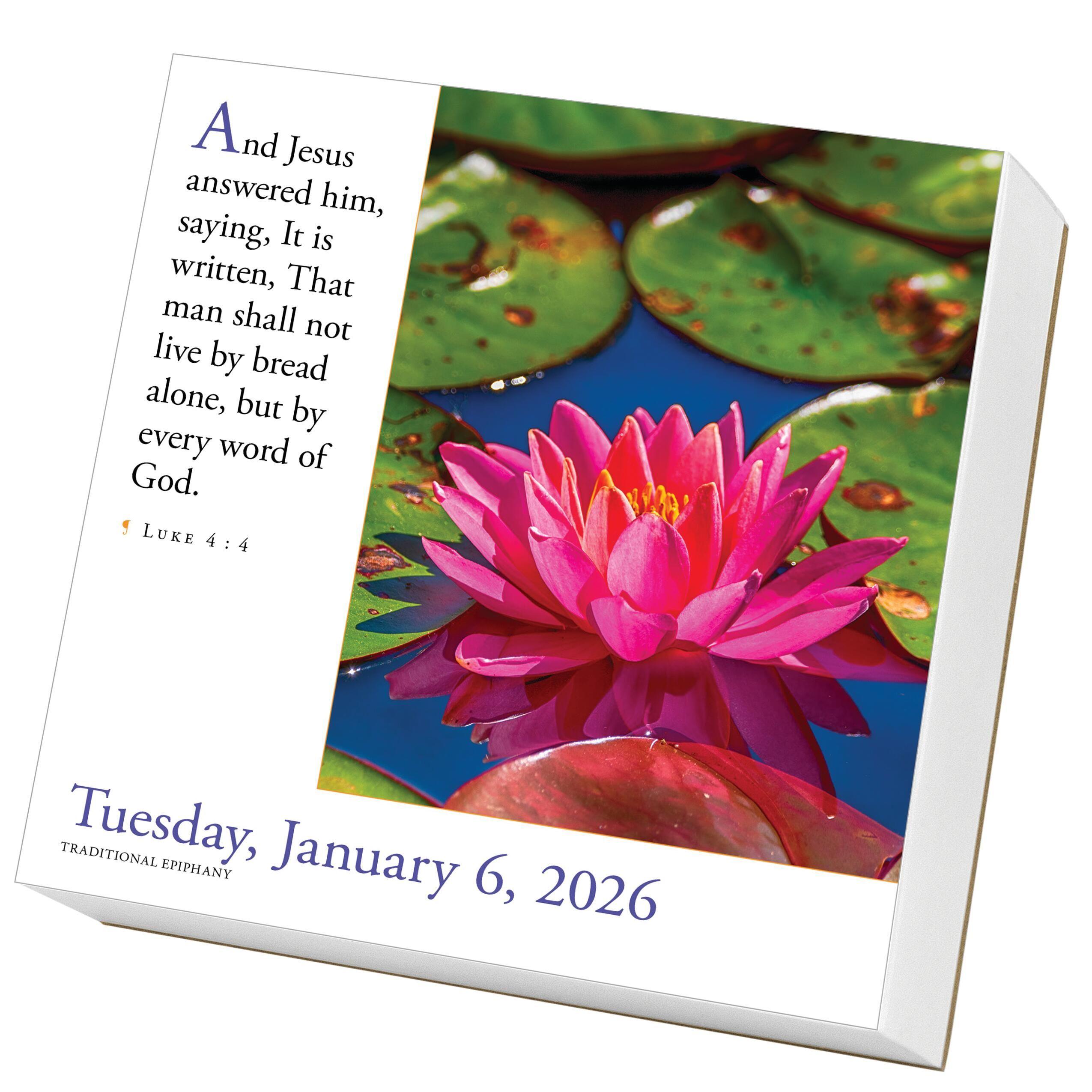 Beispielinhalt (Bild) 365 Bible Verses-A-Year Page-A-Day(r) Calendar 2026