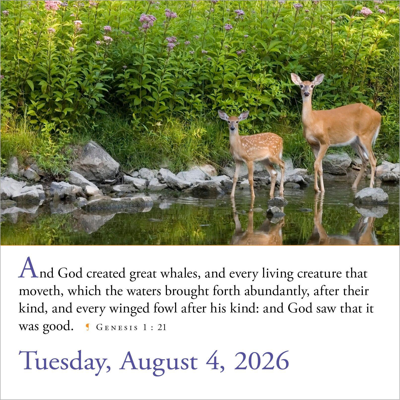 Beispielinhalt (Bild) 365 Bible Verses-A-Year Page-A-Day(r) Calendar 2026