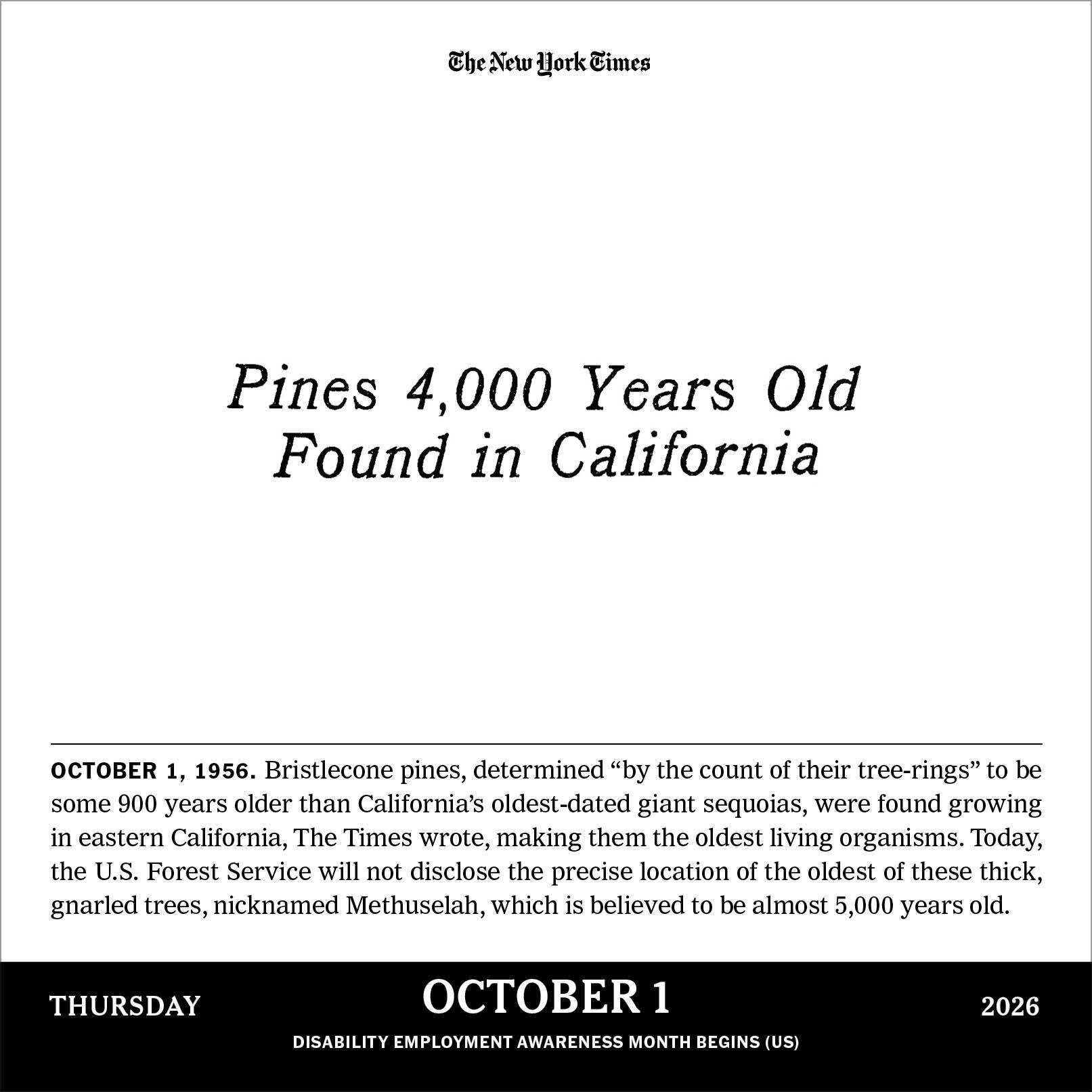 Beispielinhalt (Bild) New York Times Headlines in History Page-A-Day(r) Calendar 2026