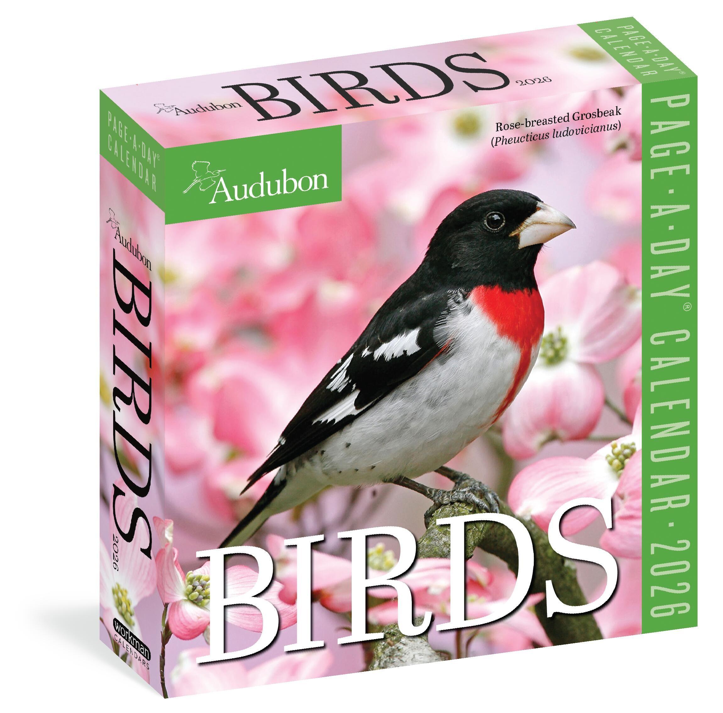 Vorderes Coverbild Audubon Birds Page-A-Day(r) Calendar 2026