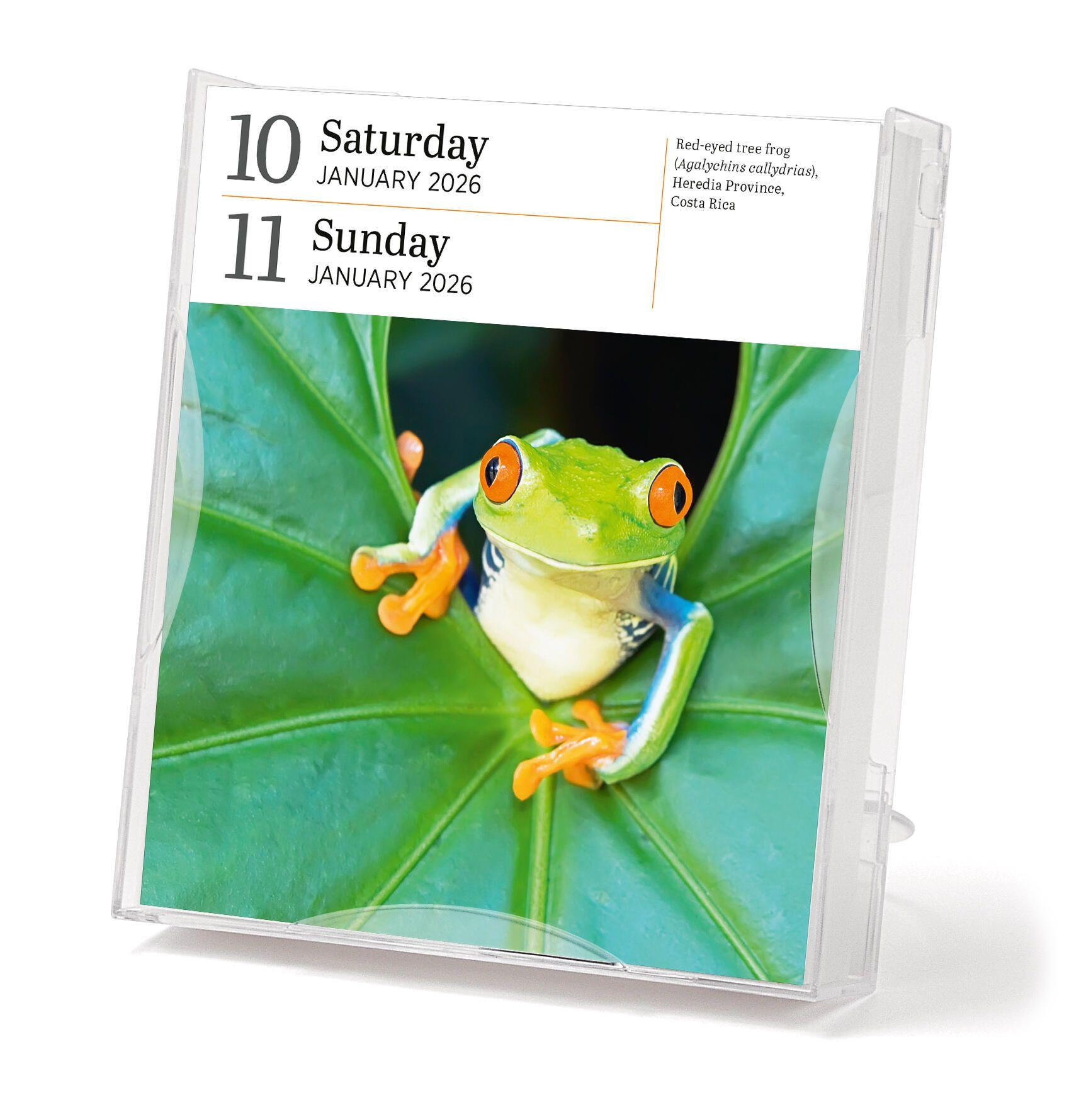 Beispielinhalt (Bild) Audubon Nature Page-A-Day(r) Gallery Calendar 2026