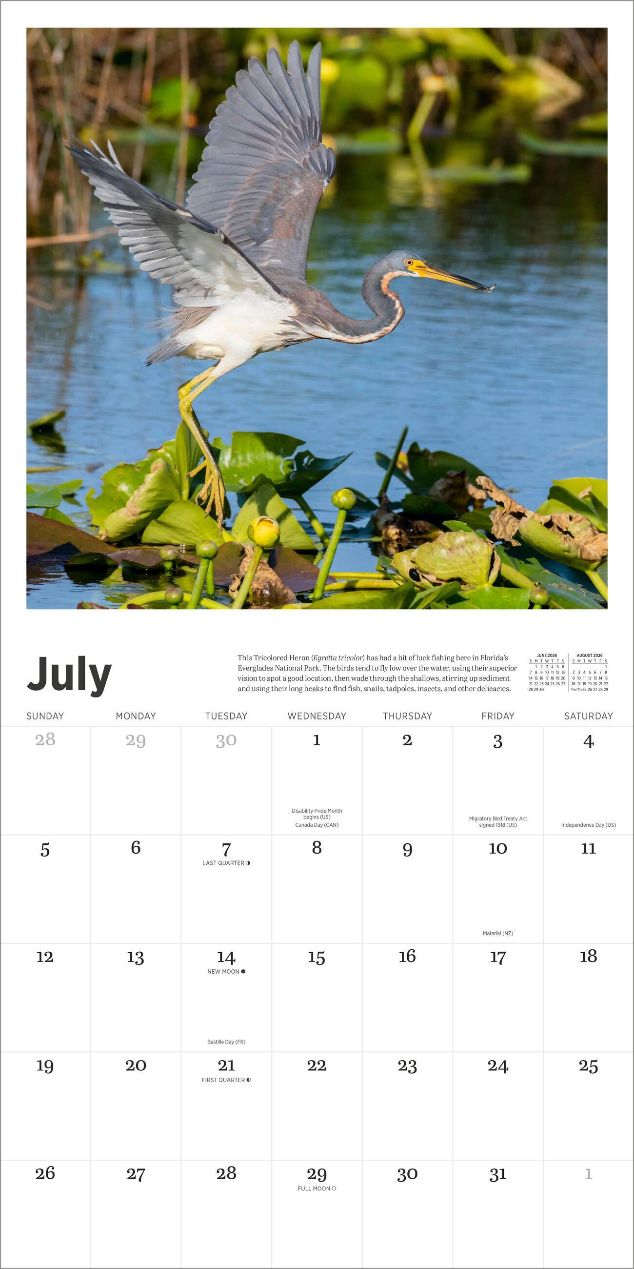 Beispielinhalt (Bild) Audubon Nature Wall Calendar 2026