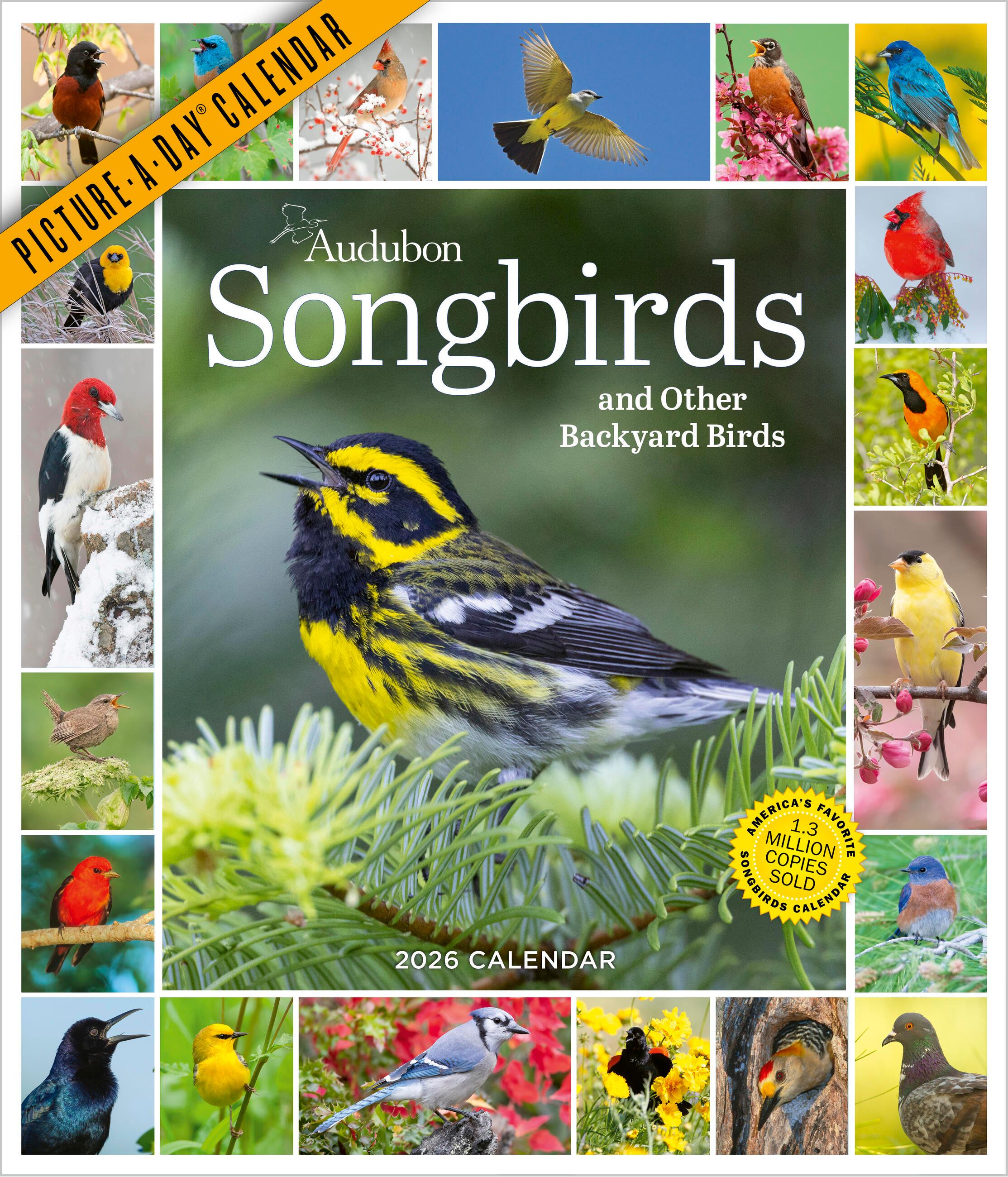Vorderes Coverbild Audubon Songbirds and Other Backyard Birds Picture-A-Day(r) Wall Calendar 2026