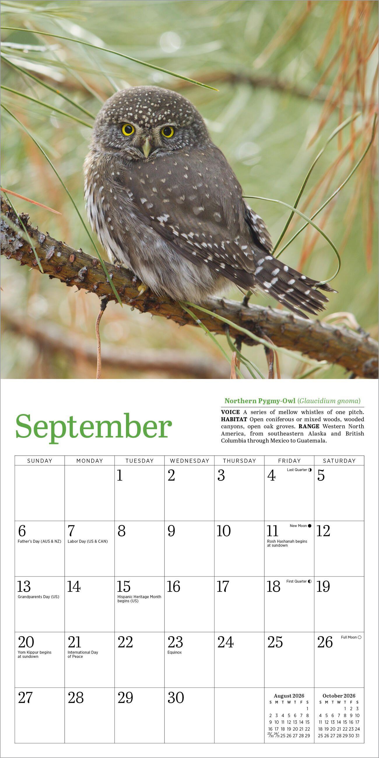 Beispielinhalt (Bild) Audubon Little Owls Mini Wall Calendar 2026