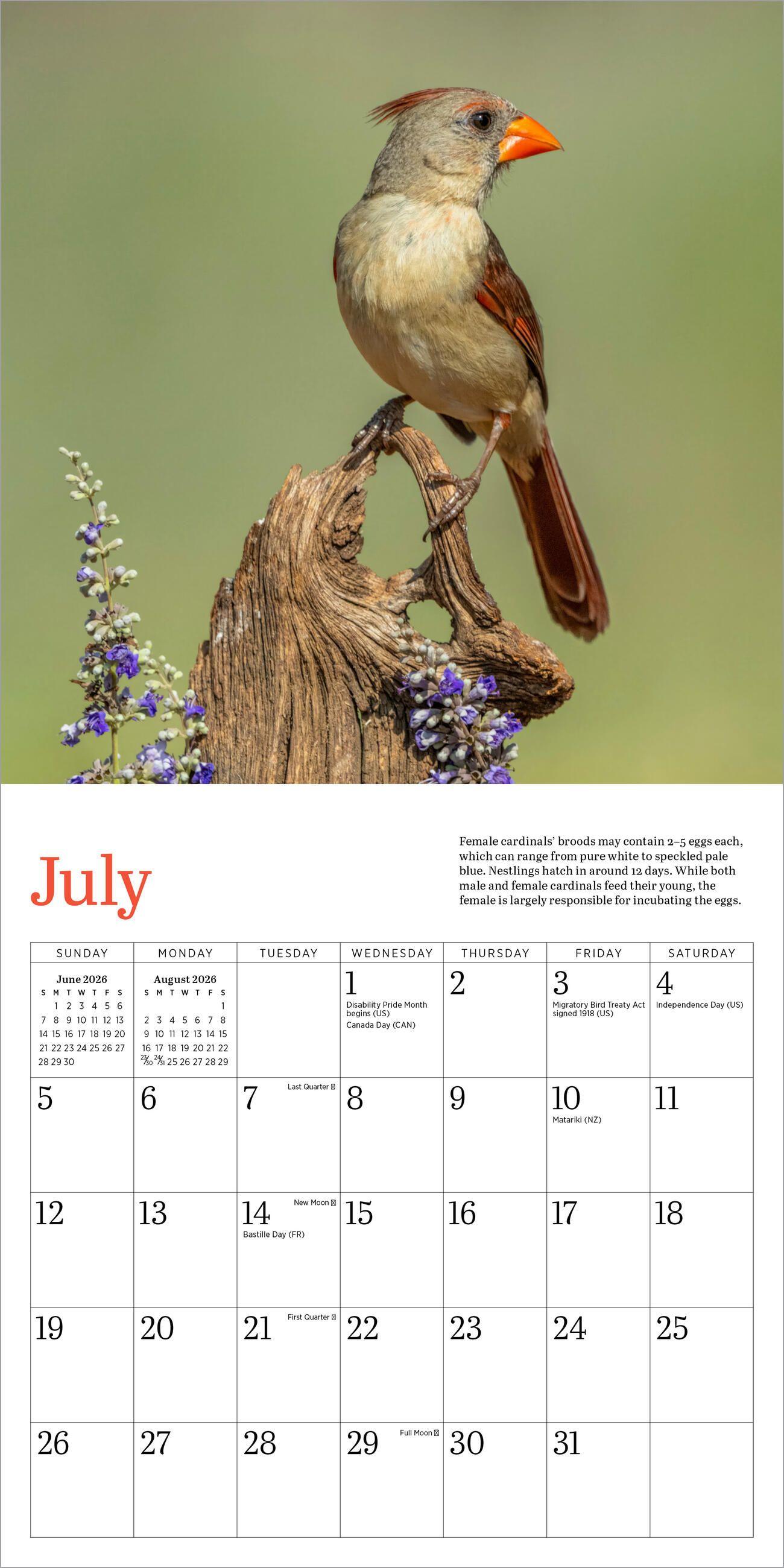 Beispielinhalt (Bild) Audubon Cardinals Mini Wall Calendar 2026