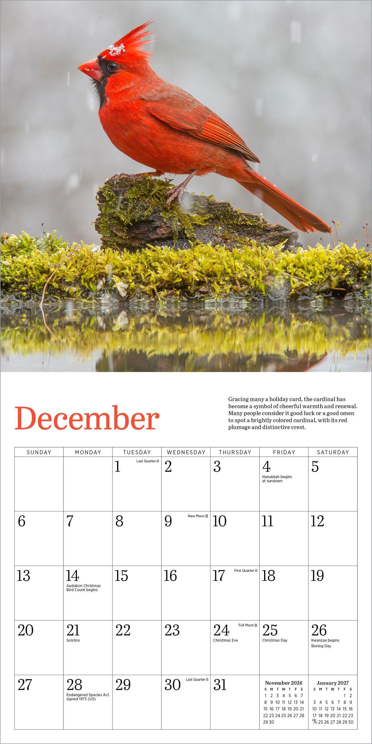 Beispielinhalt (Bild) Audubon Cardinals Mini Wall Calendar 2026
