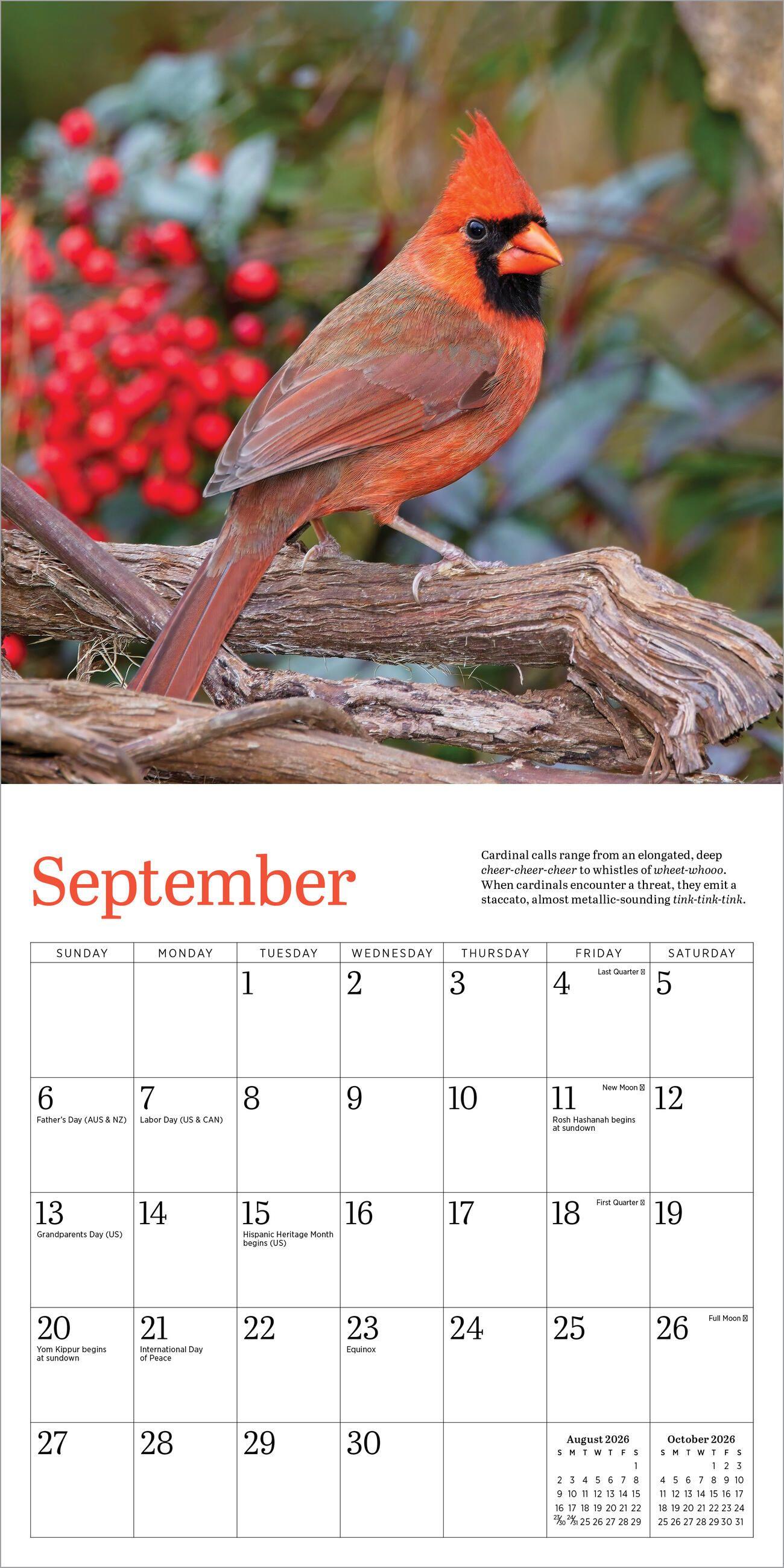 Beispielinhalt (Bild) Audubon Cardinals Mini Wall Calendar 2026