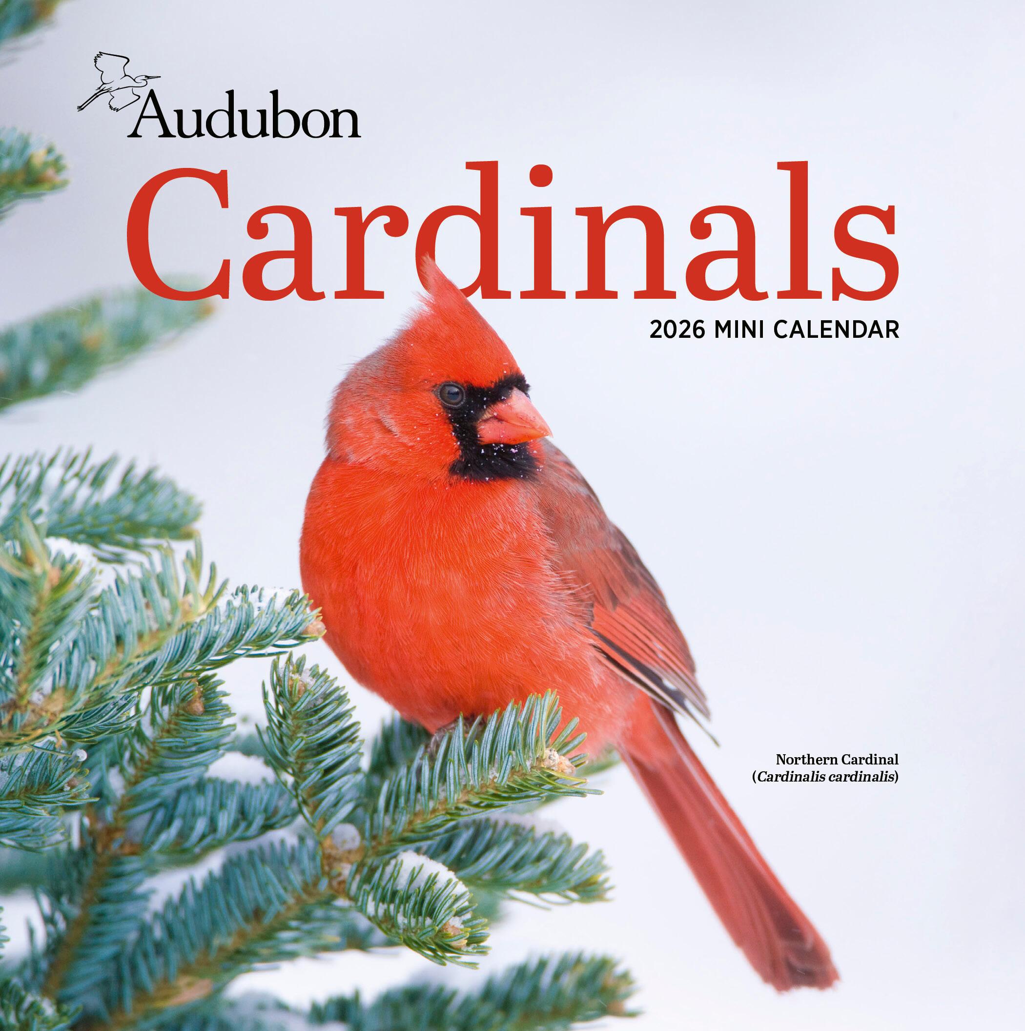 Vorderes Coverbild Audubon Cardinals Mini Wall Calendar 2026
