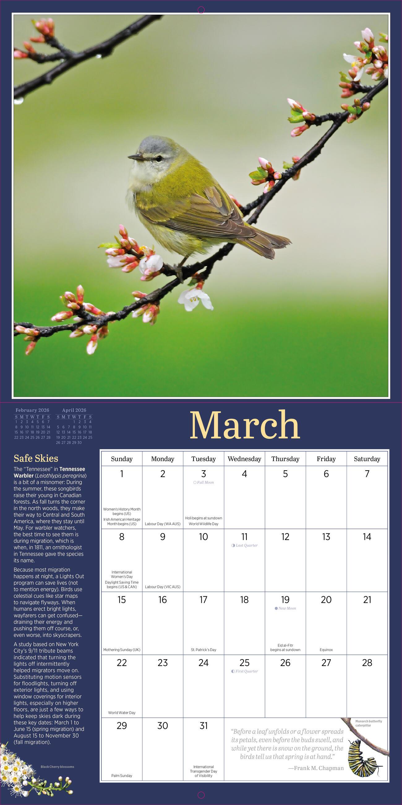 Beispielinhalt (Bild) Audubon Birds in the Garden Wall Calendar 2026