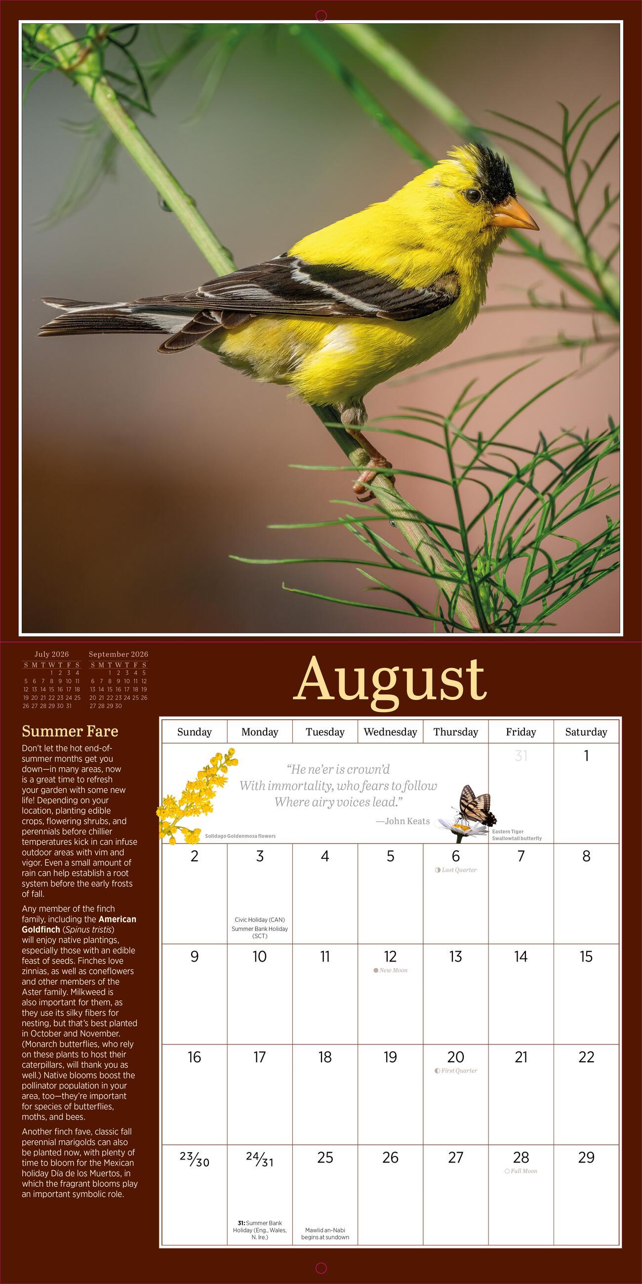 Beispielinhalt (Bild) Audubon Birds in the Garden Wall Calendar 2026