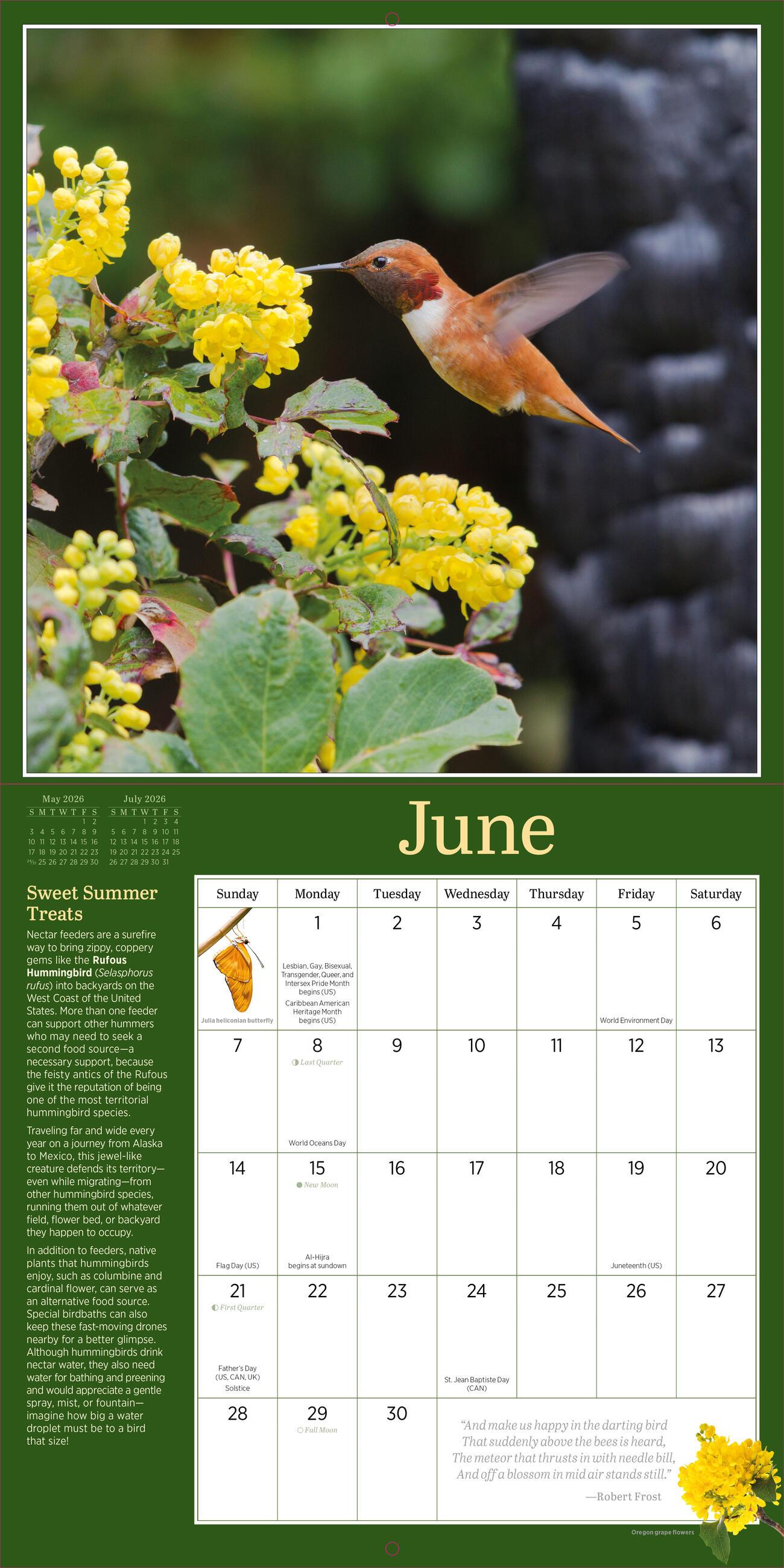 Beispielinhalt (Bild) Audubon Birds in the Garden Wall Calendar 2026