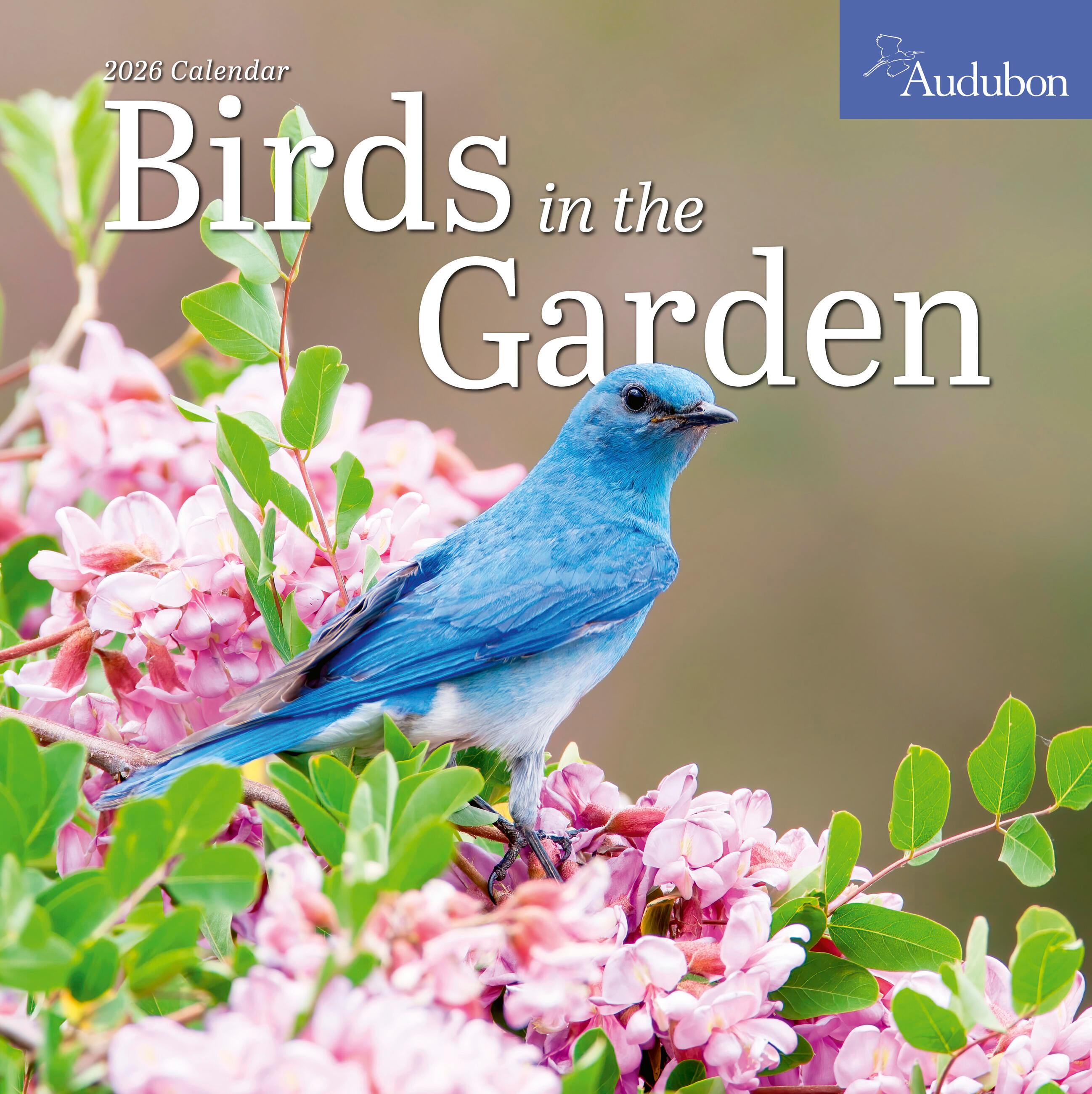 Vorderes Coverbild Audubon Birds in the Garden Wall Calendar 2026