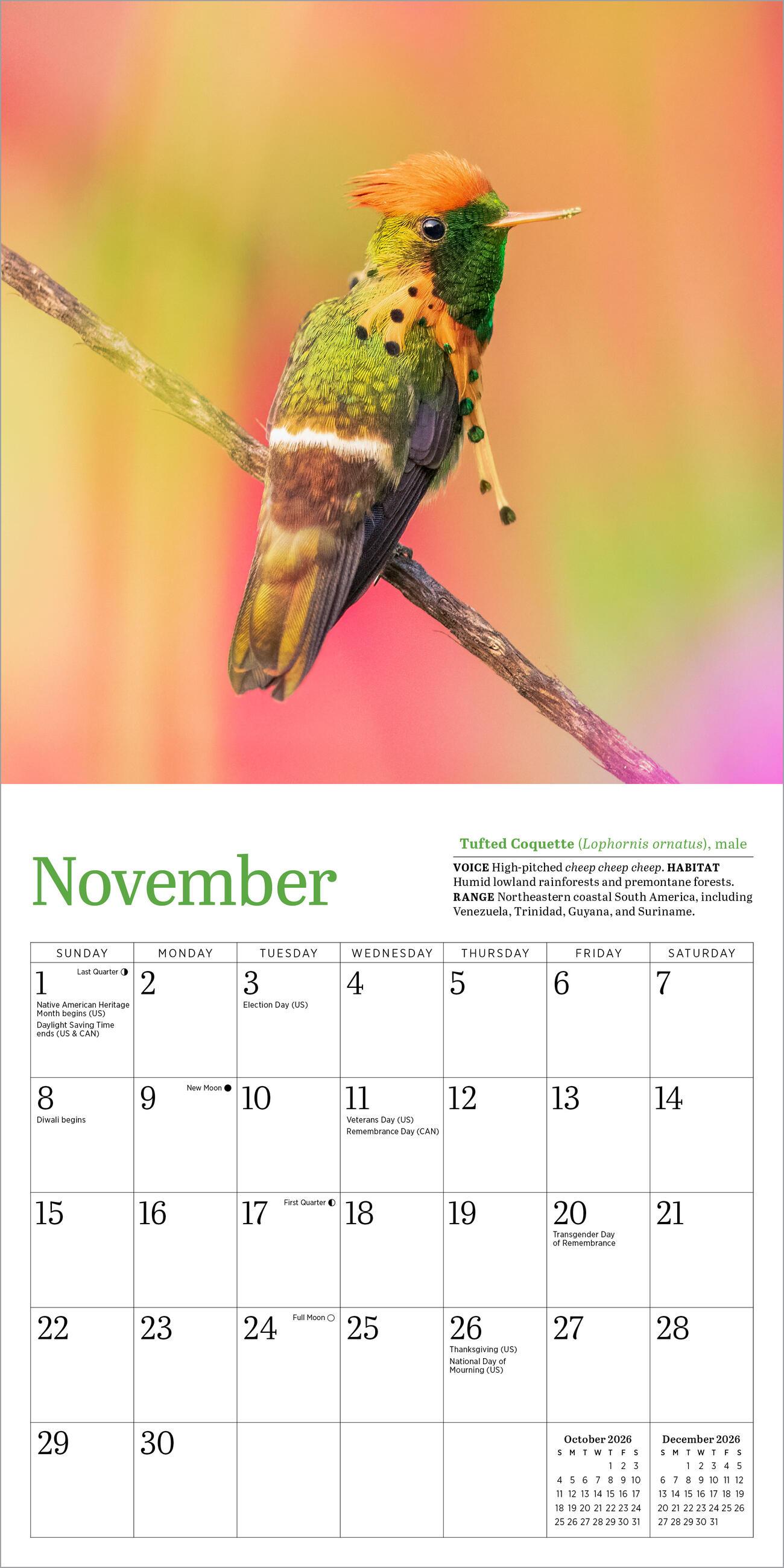 Beispielinhalt (Bild) Audubon Hummingbirds Mini Wall Calendar 2026