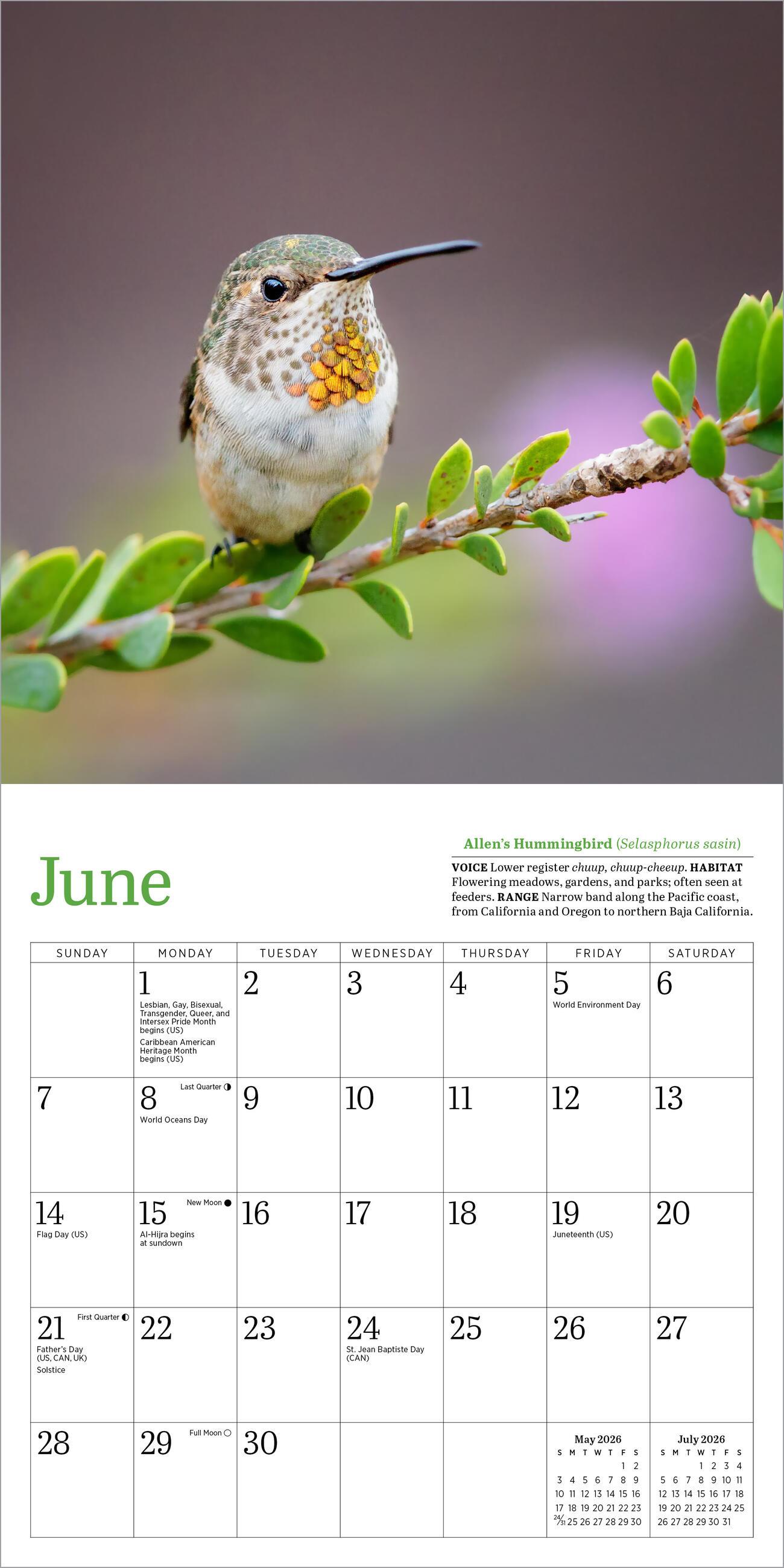 Beispielinhalt (Bild) Audubon Hummingbirds Mini Wall Calendar 2026