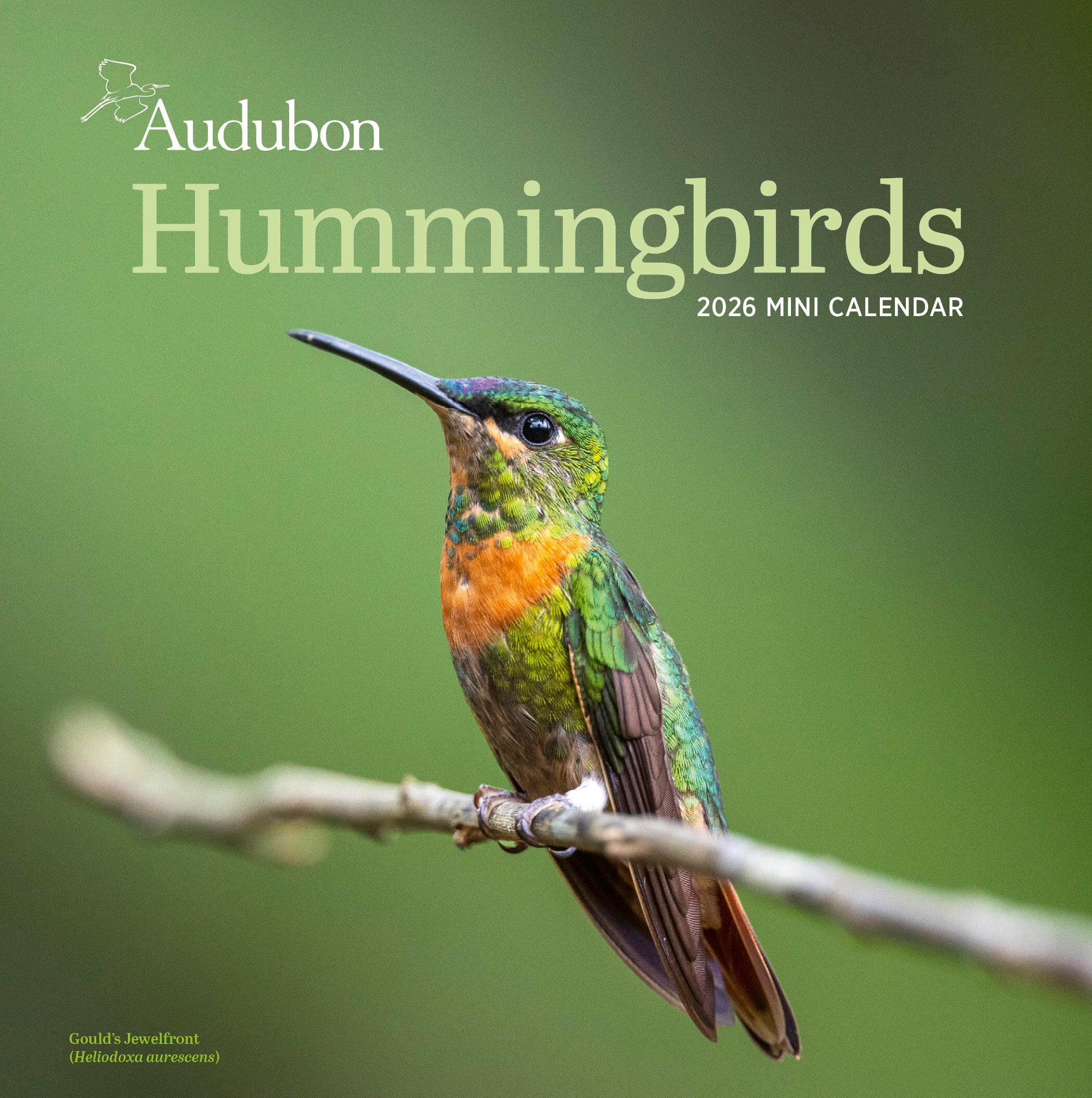 Vorderes Coverbild Audubon Hummingbirds Mini Wall Calendar 2026