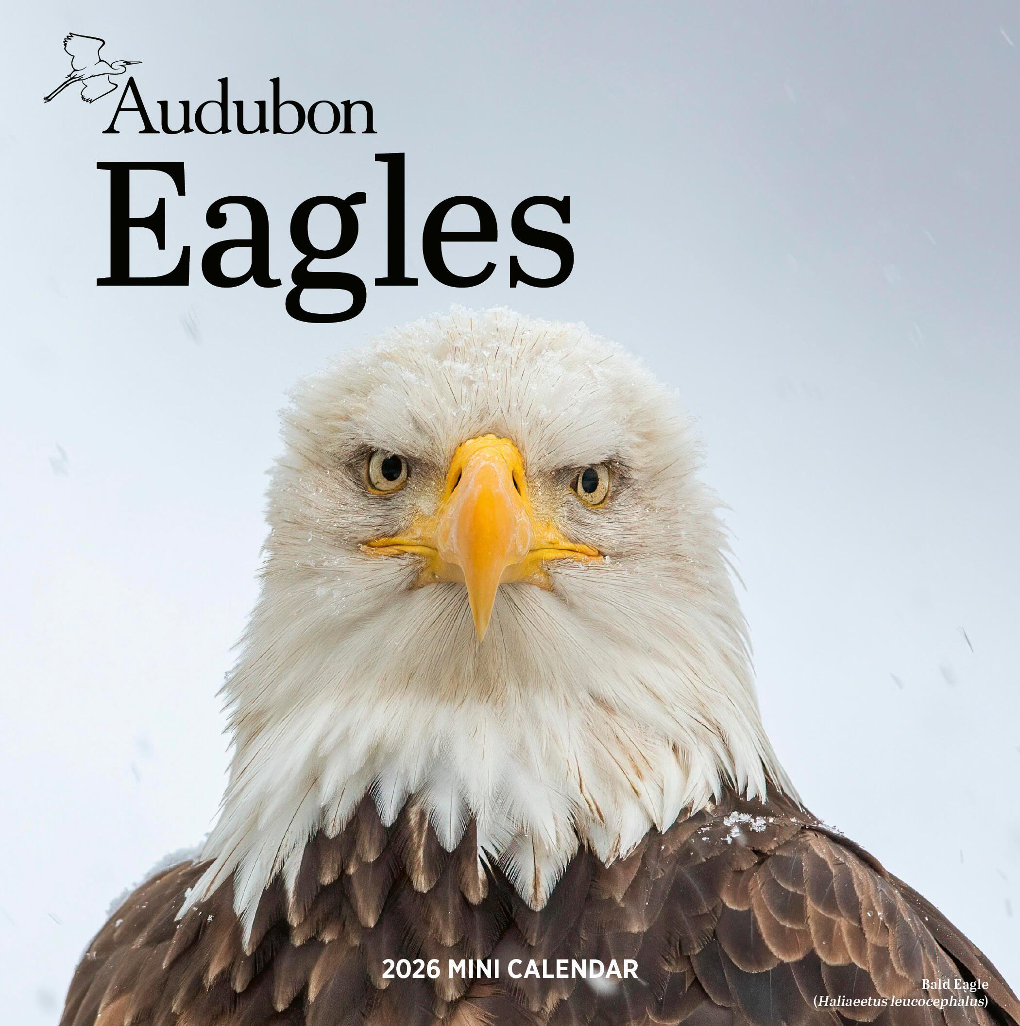Vorderes Coverbild Audubon Eagles Mini Wall Calendar 2026
