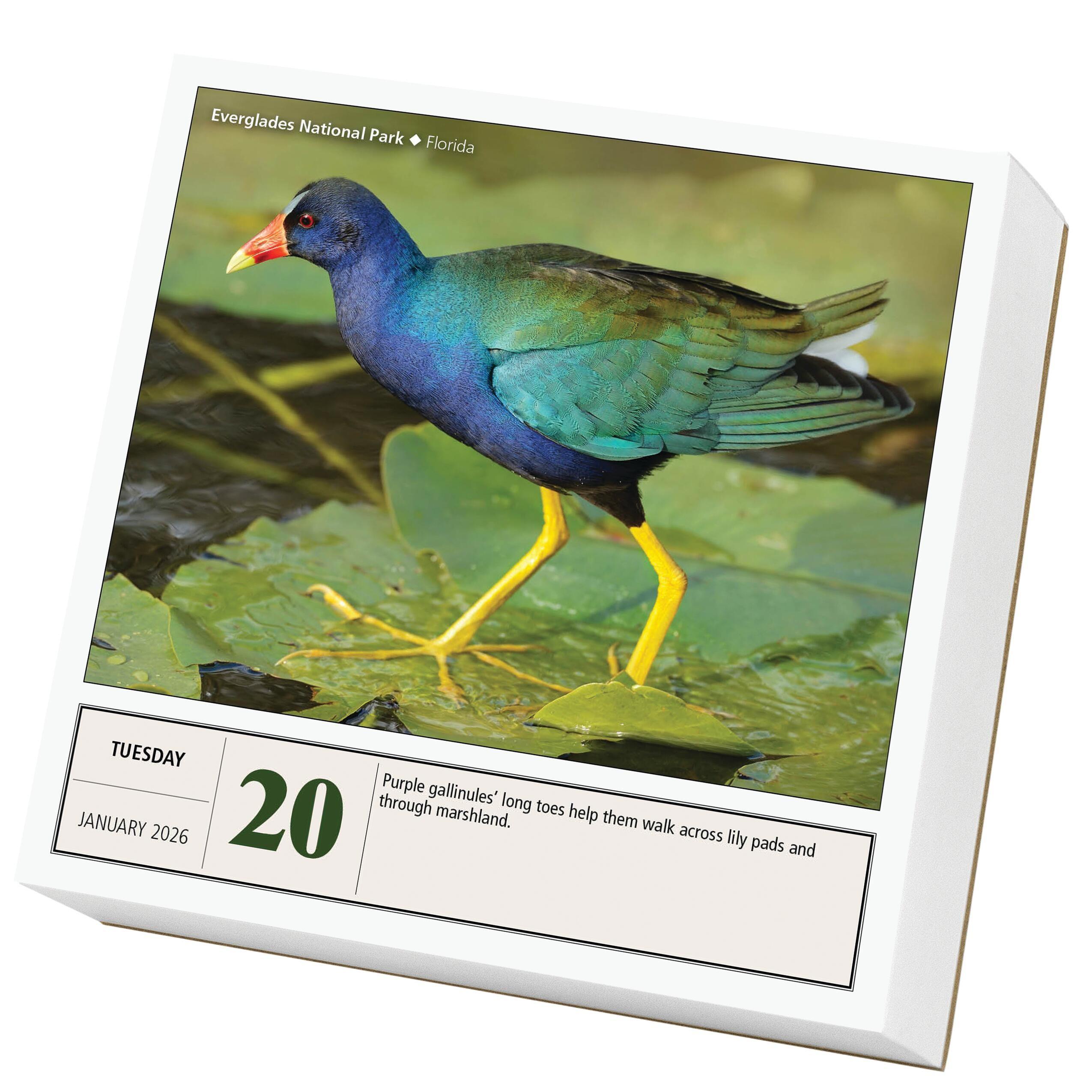 Beispielinhalt (Bild) National Parks Page-A-Day(r) Calendar 2026