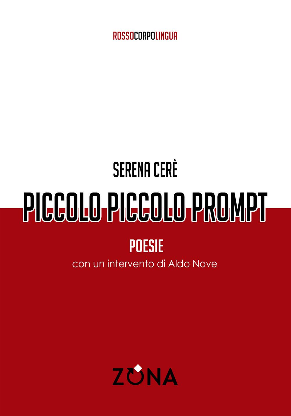Vorderes Coverbild Piccolo piccolo prompt