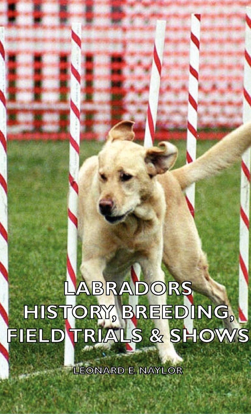 Vorderes Coverbild Labradors - History, Breeding, Field Trials & Shows