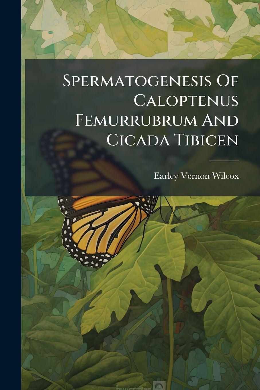 Vorderes Coverbild Spermatogenesis Of Caloptenus Femurrubrum And Cicada Tibicen