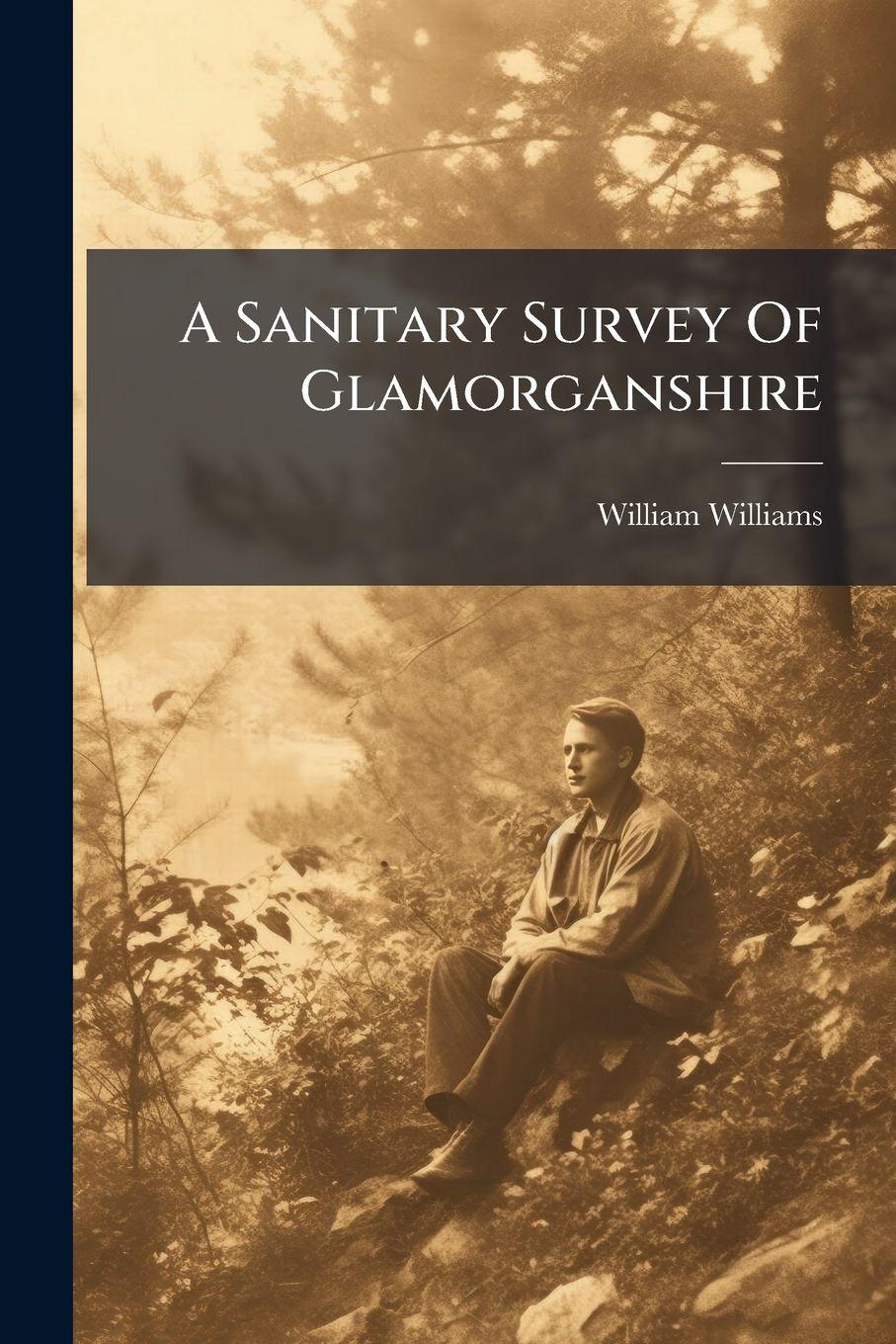 Vorderes Coverbild A Sanitary Survey Of Glamorganshire