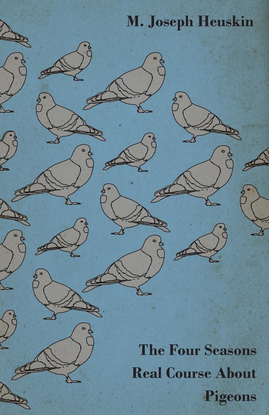 Vorderes Coverbild The Four Seasons Real Course About Pigeons