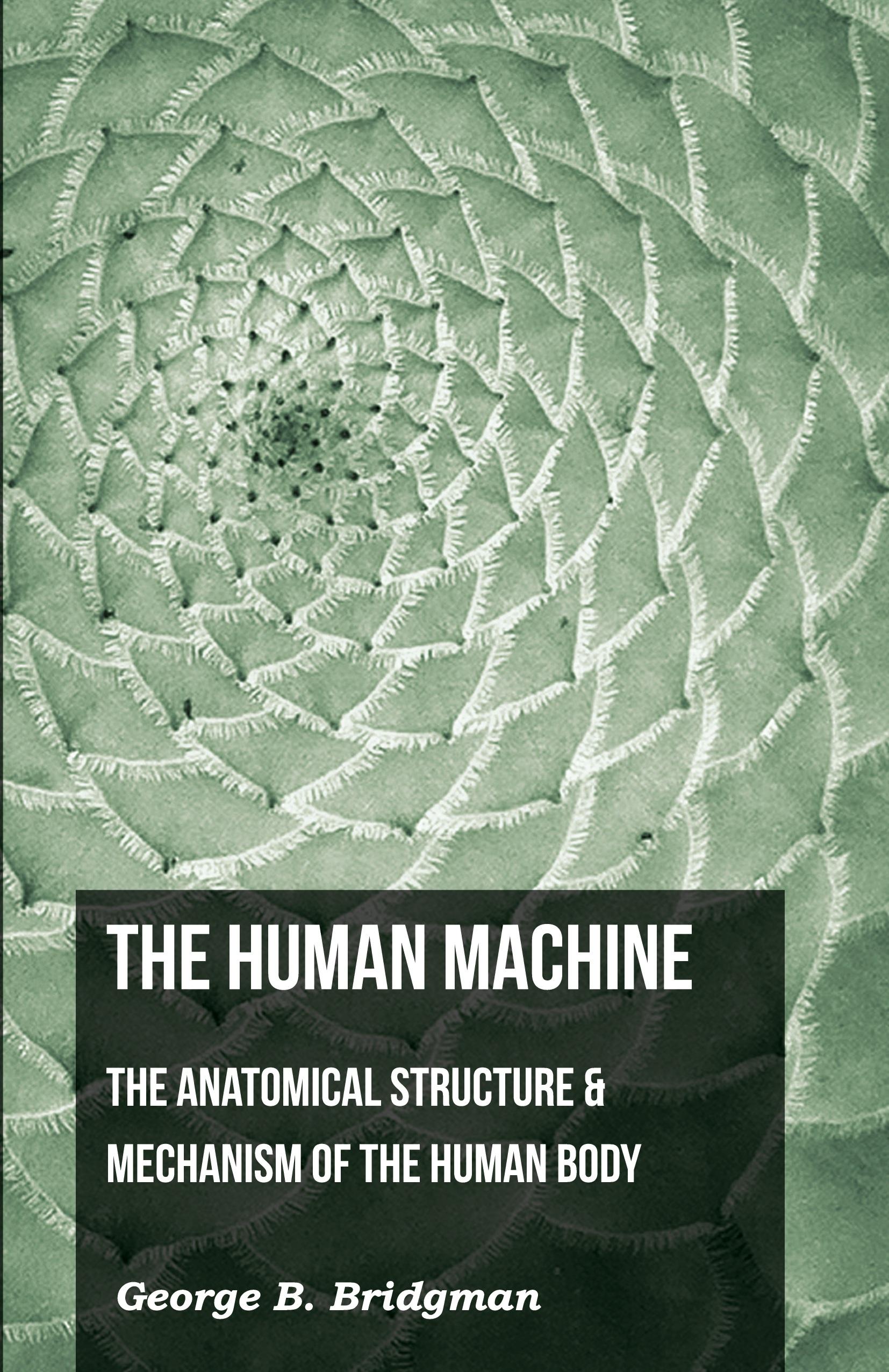 Vorderes Coverbild The Human Machine - The Anatomical Structure & Mechanism Of The Human Body