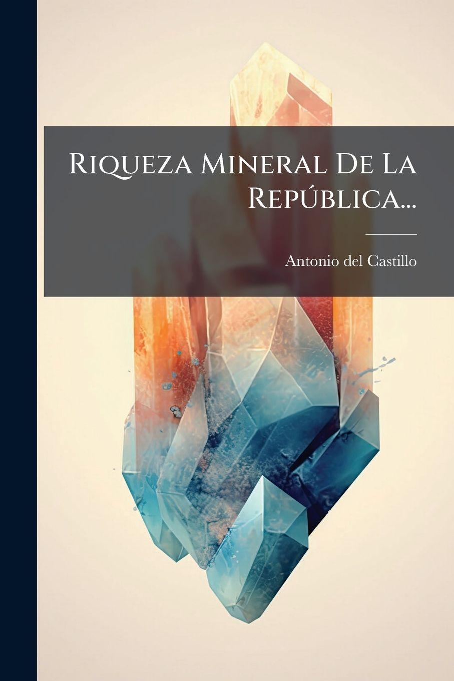 Vorderes Coverbild Riqueza Mineral De La RepÃ°blica...