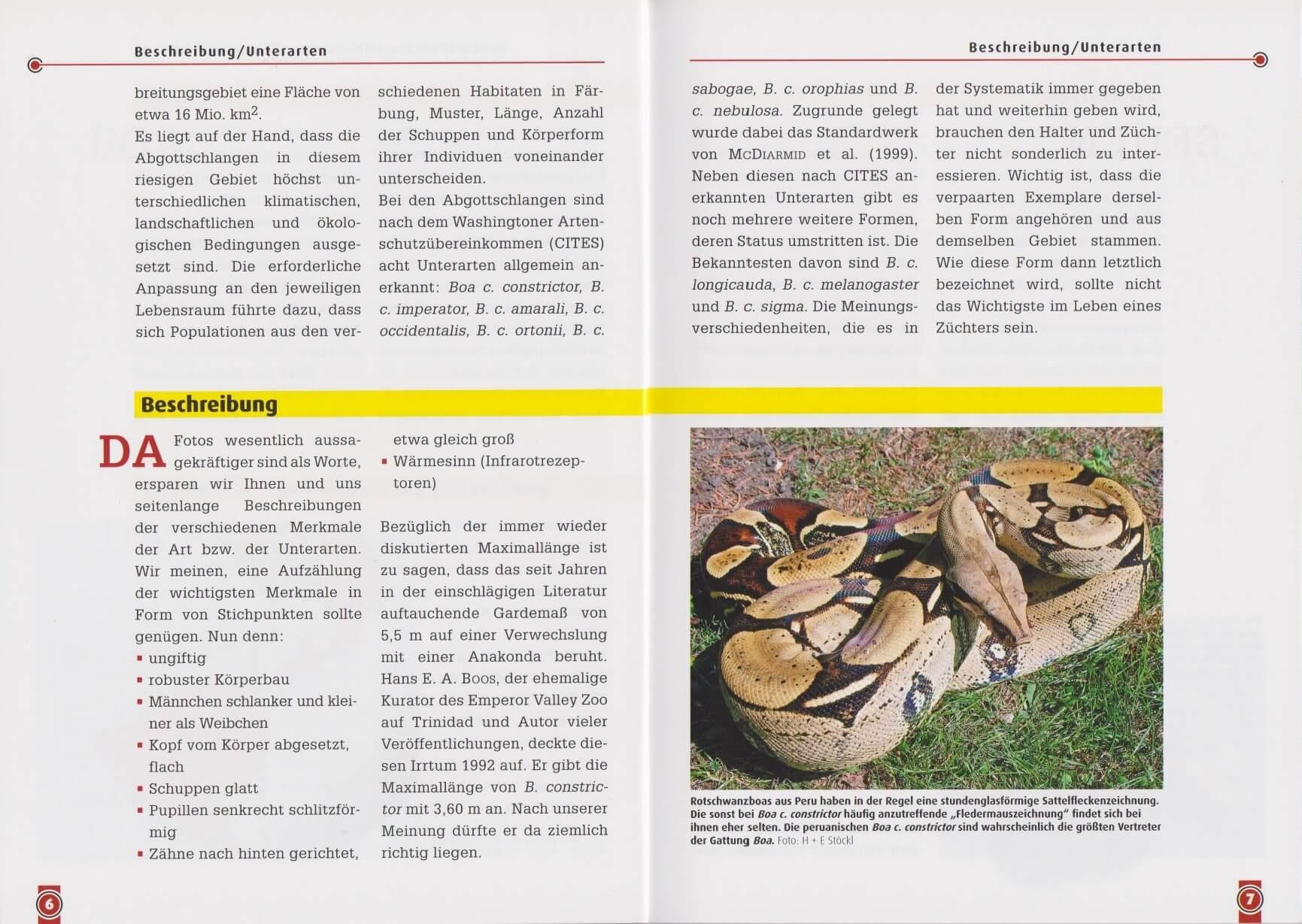 Beispielinhalt (Bild) Die Abgottschlange - Boa Constrictor
