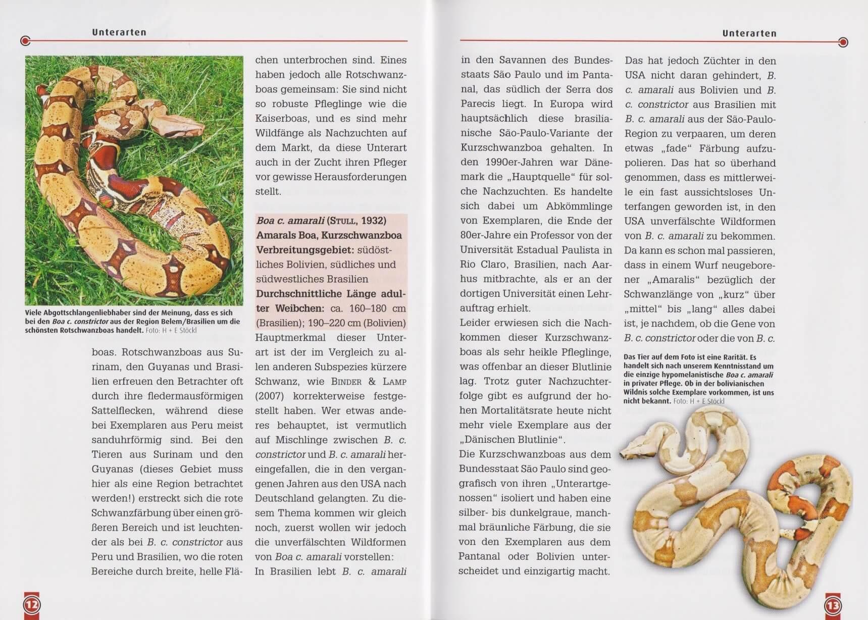 Beispielinhalt (Bild) Die Abgottschlange - Boa Constrictor