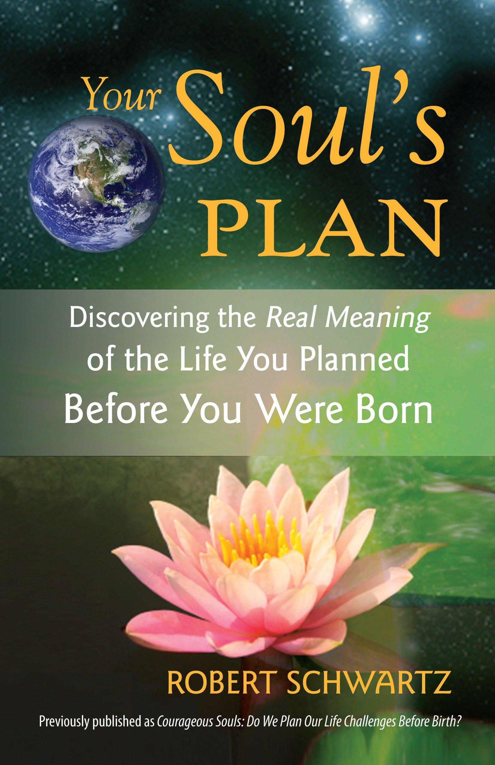 Vorderes Coverbild Your Soul's Plan