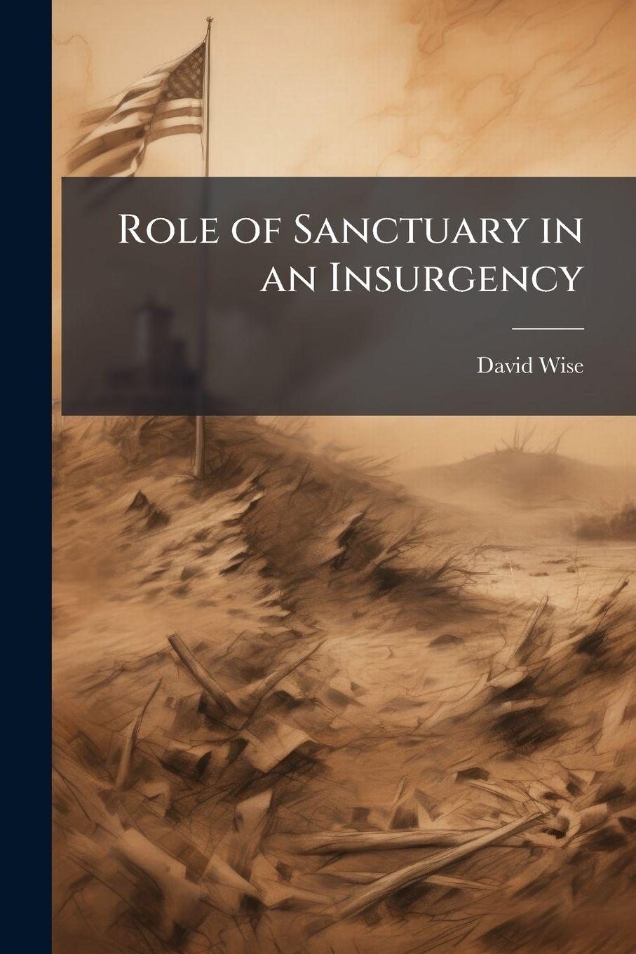 Vorderes Coverbild Role of Sanctuary in an Insurgency