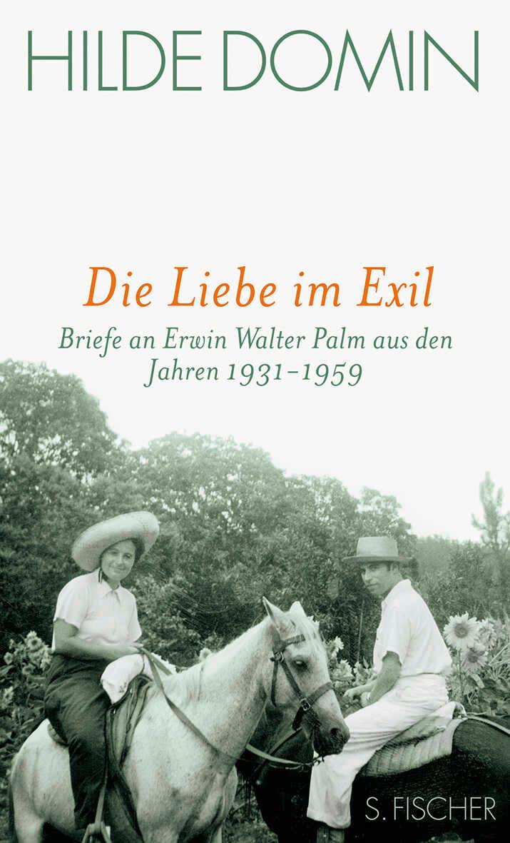 Vorderes Coverbild Die Liebe im Exil