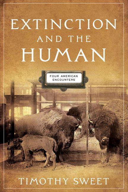 Vorderes Coverbild Extinction and the Human