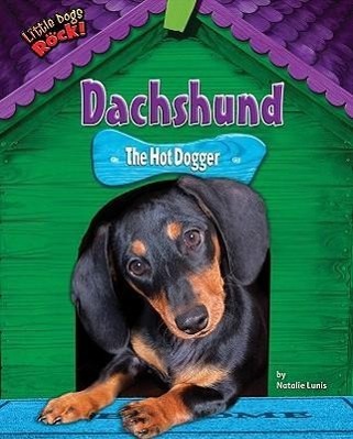 Vorderes Coverbild Dachshund