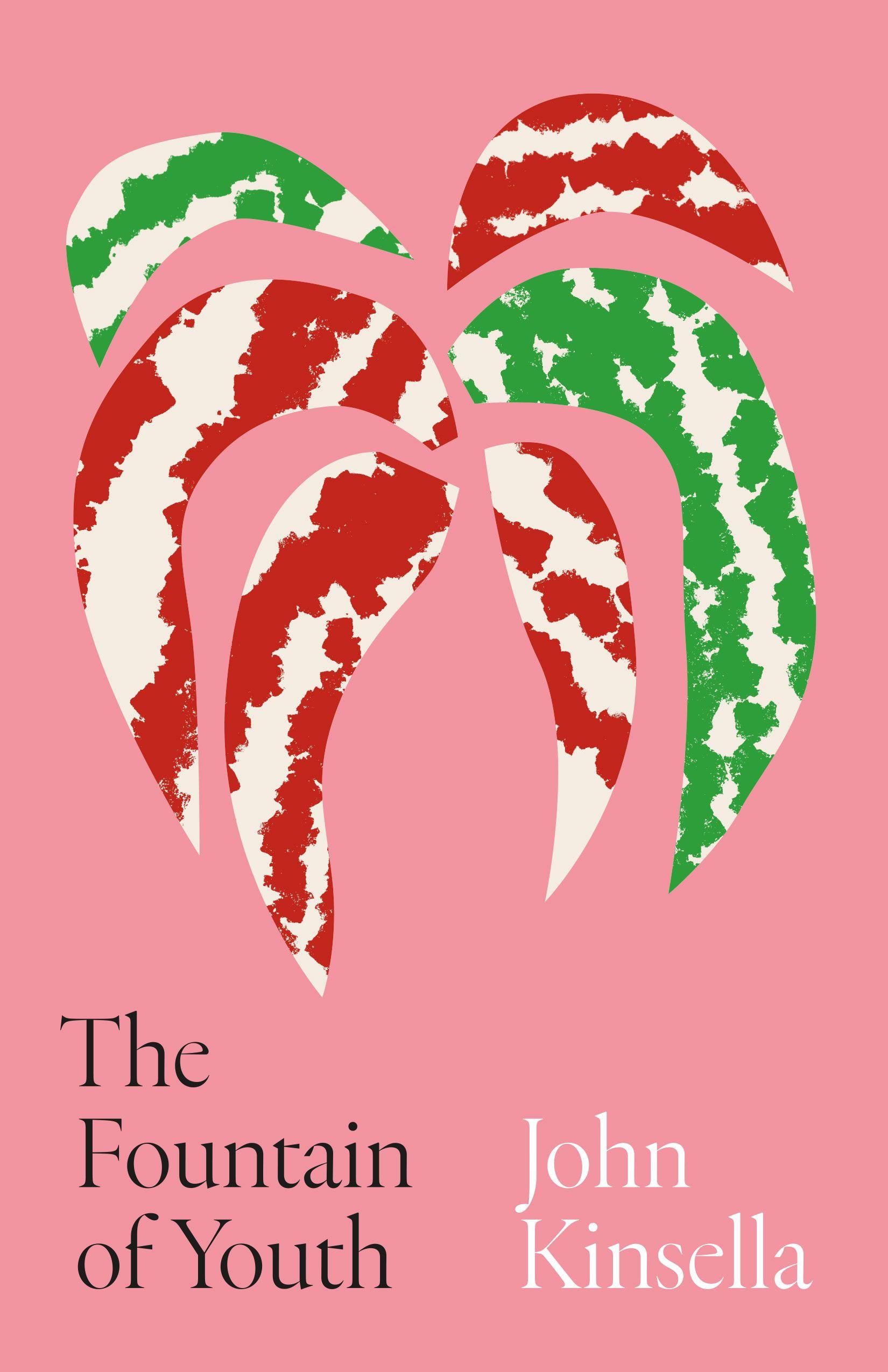 Vorderes Coverbild The Fountain of Youth