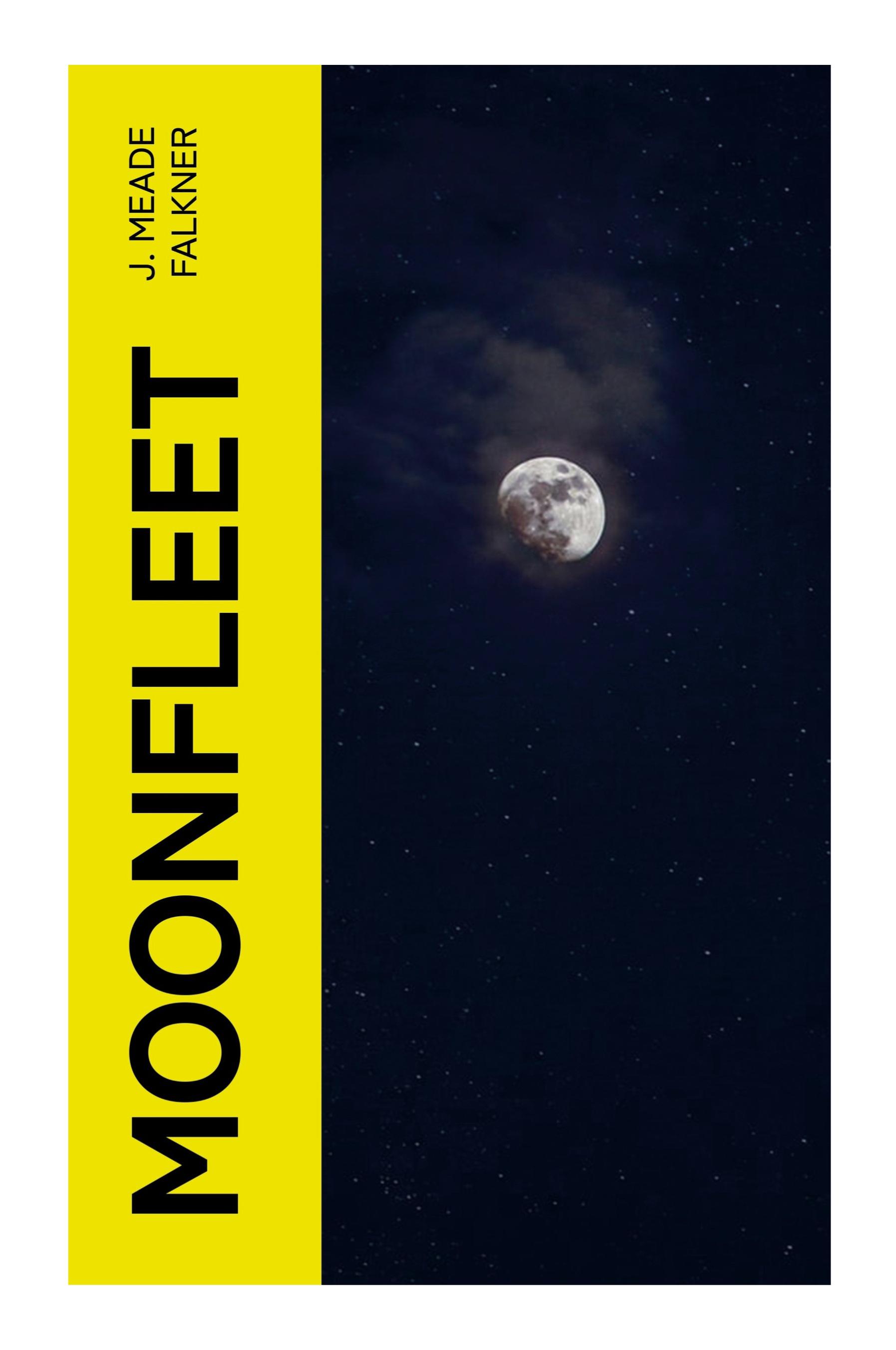 Vorderes Coverbild Moonfleet