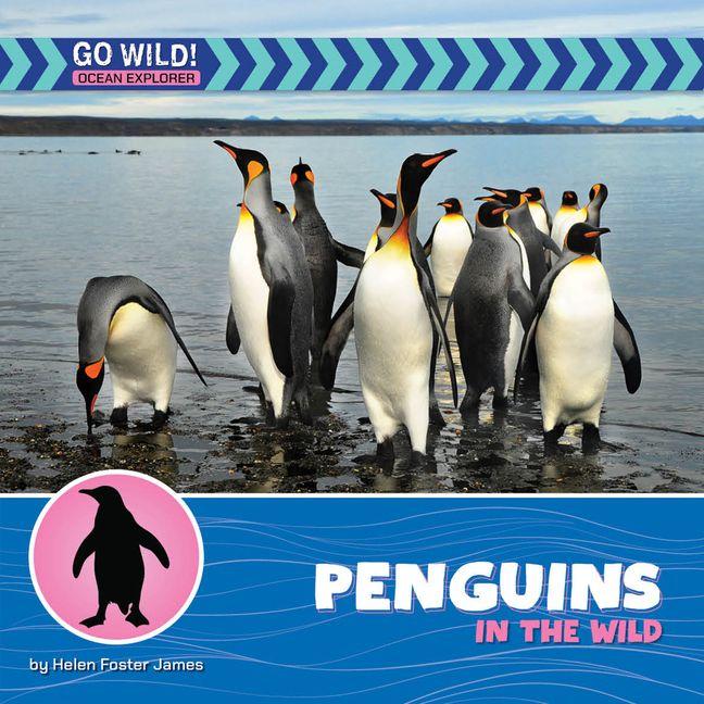 Vorderes Coverbild Penguins in the Wild