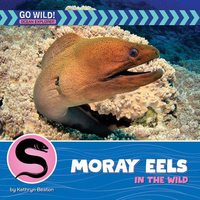Vorderes Coverbild Moray Eels in the Wild