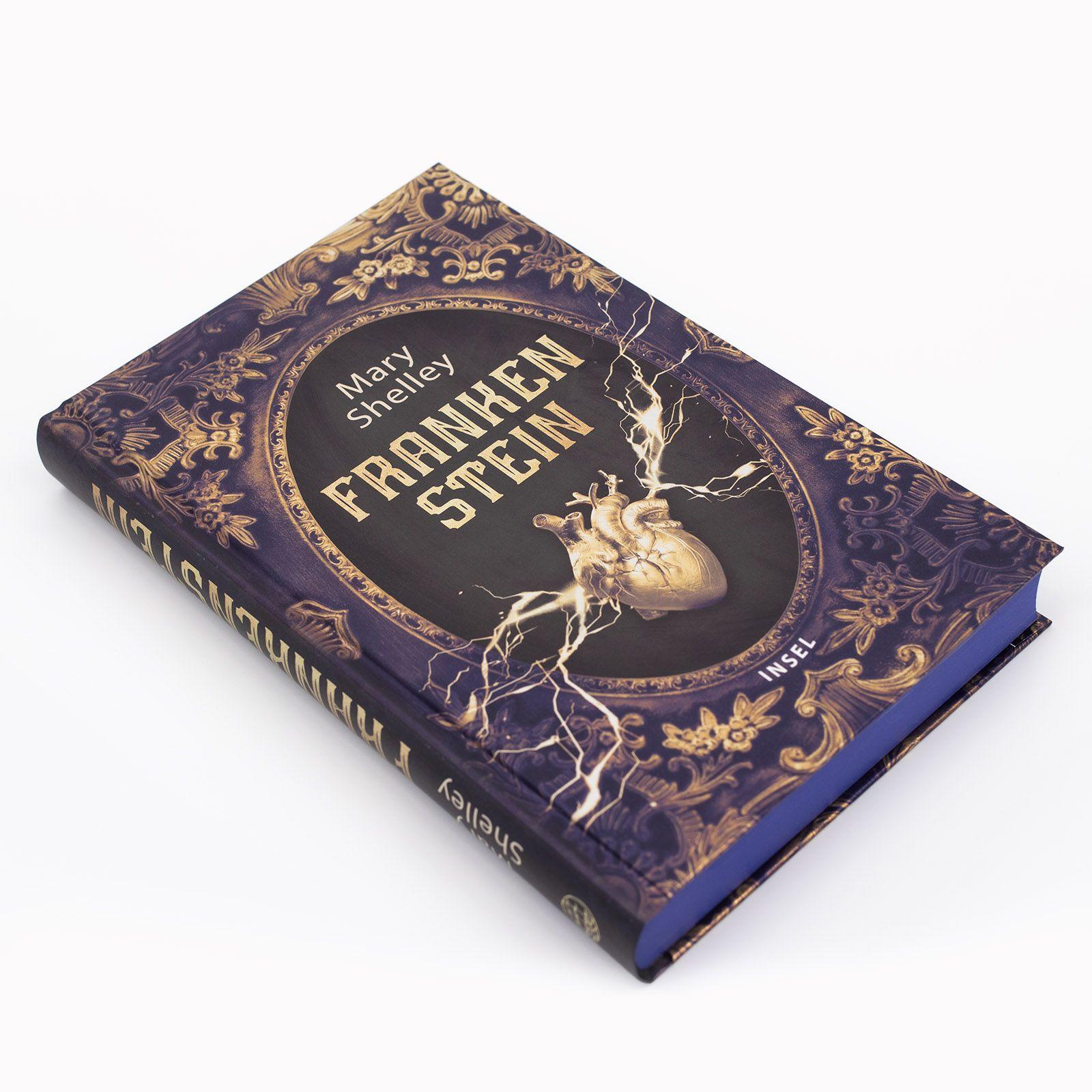 Beispielinhalt (Bild) Frankenstein oder Der moderne Prometheus